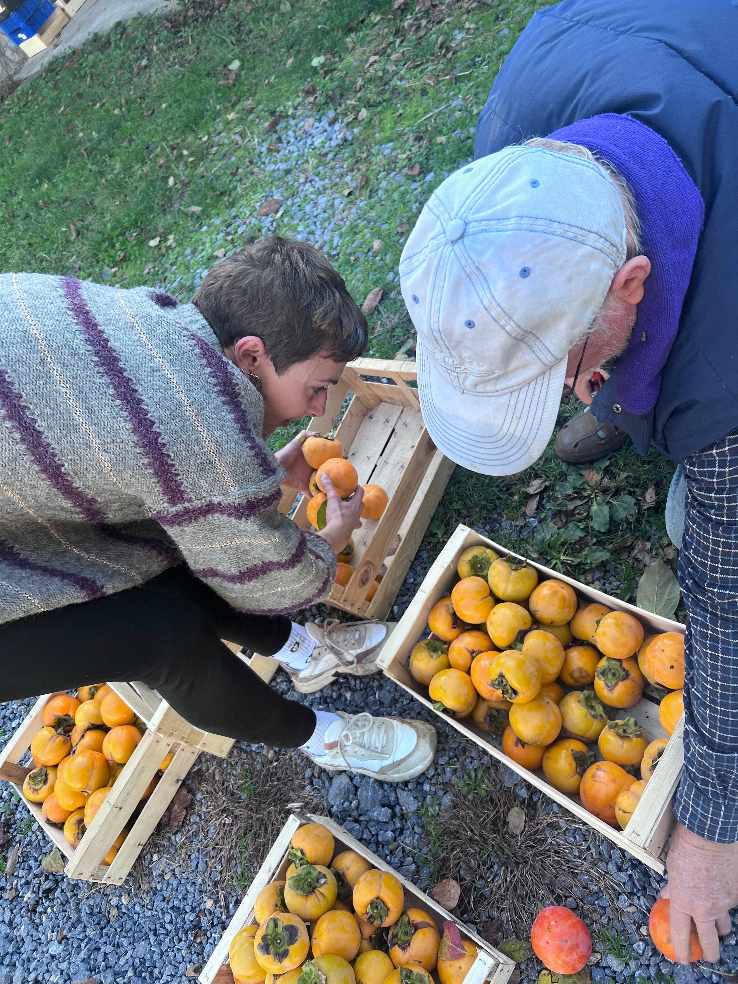 Village Markets