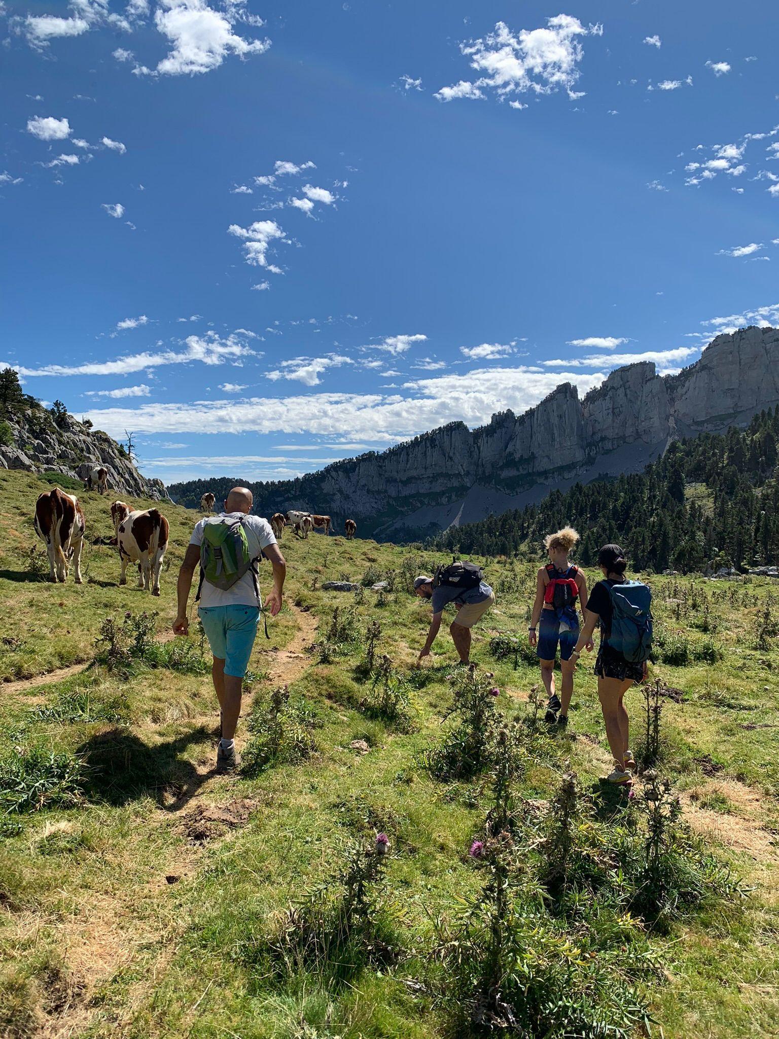 Hiking & Biking