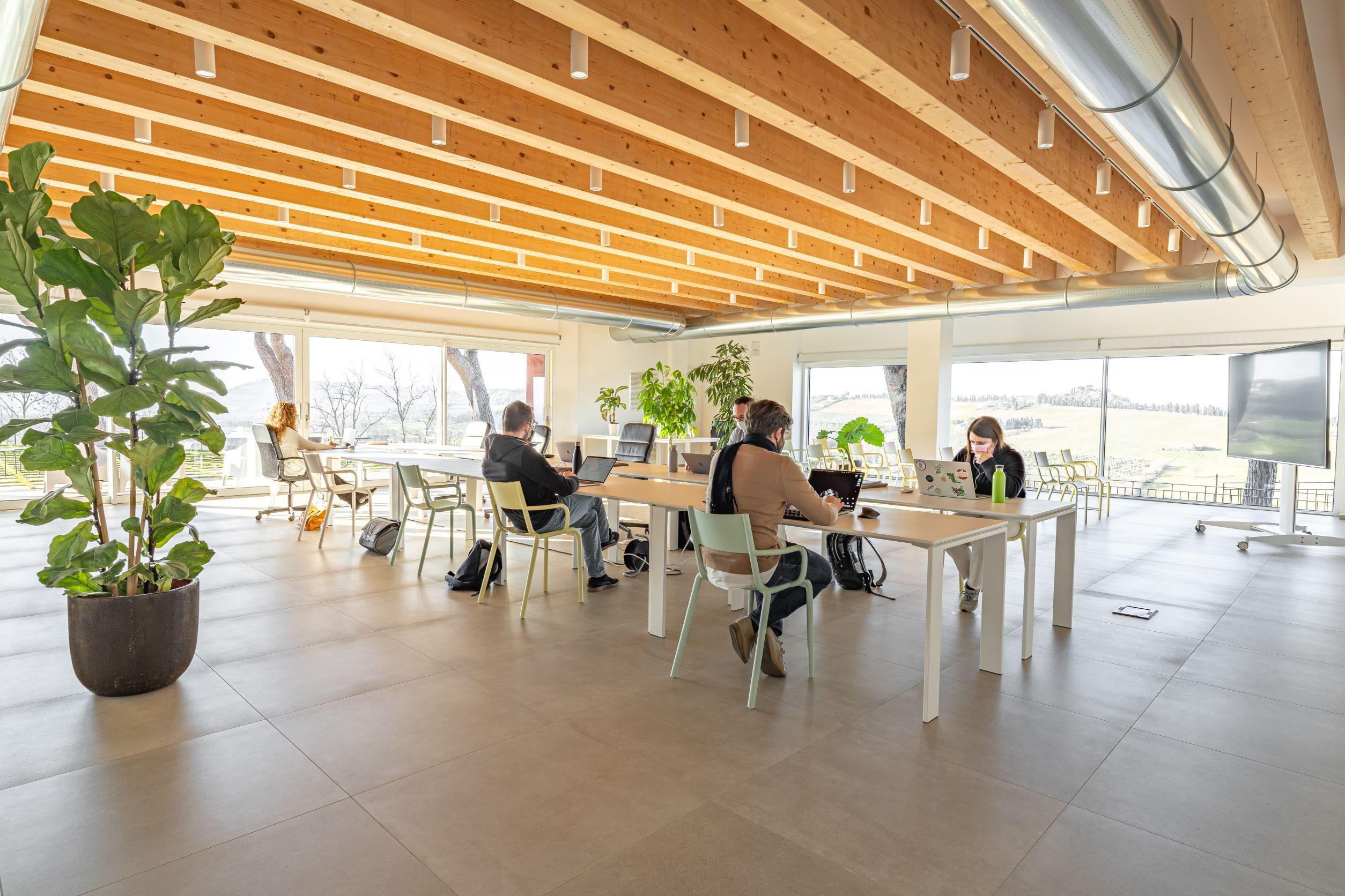Open, naturally lit coworking space with people working at desks, large windows overlooking the countryside, wooden ceiling, and plants