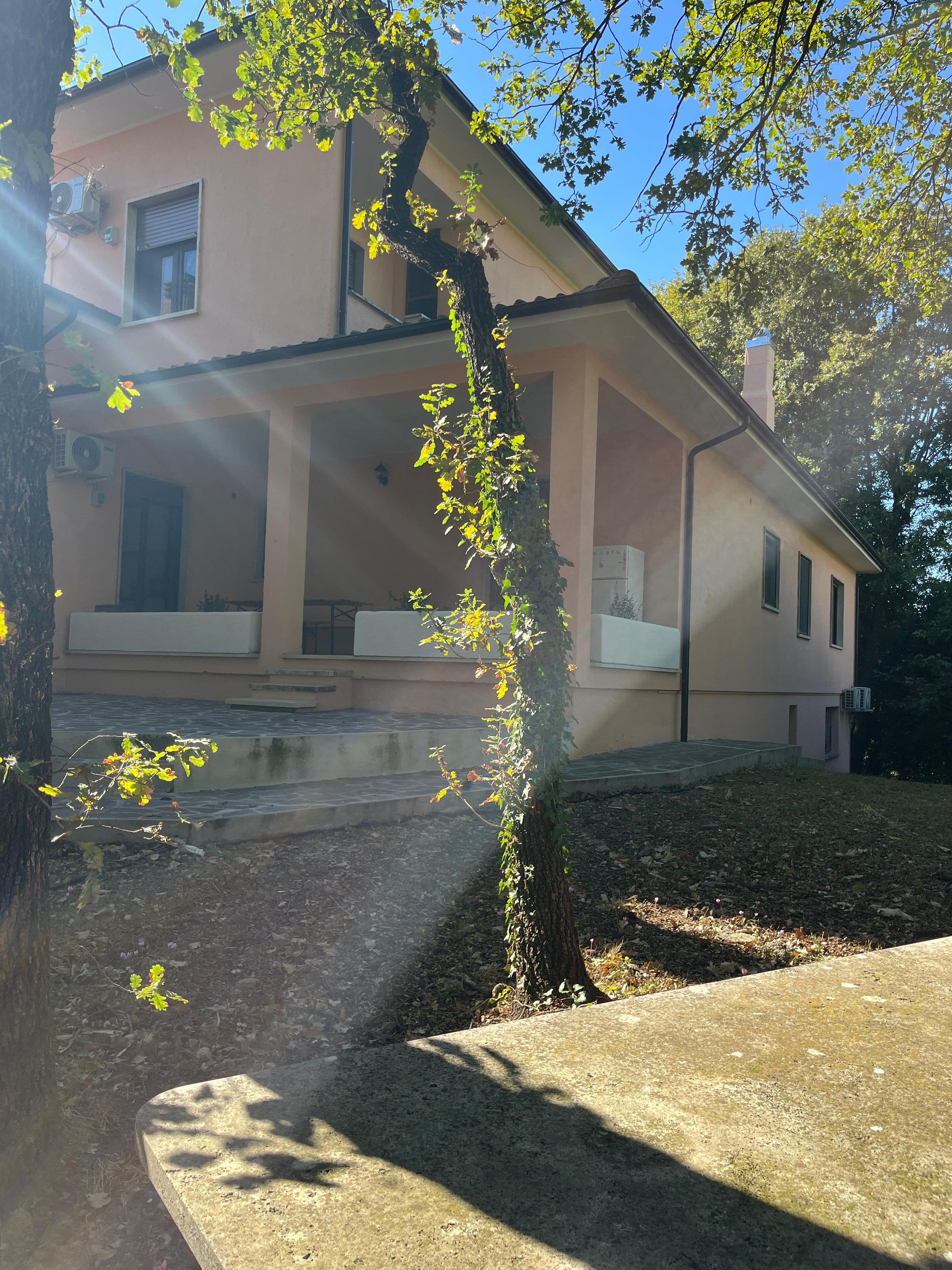 Green back garden area at a coliving in Italy near Rome