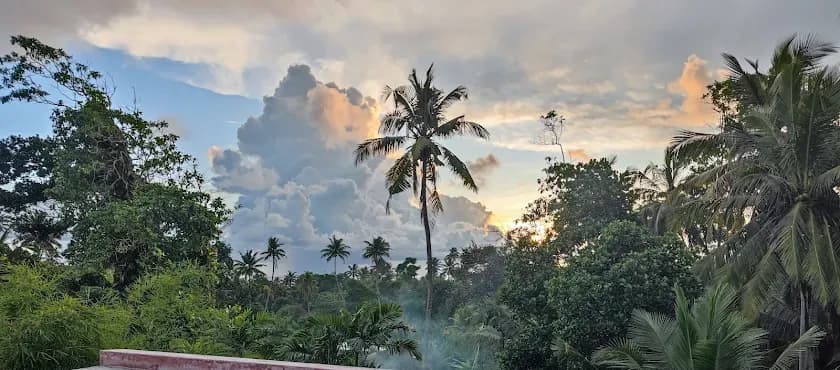 Beautiful sunset view from NETS Cowork and Colive, with vibrant colours and tranquil skies.