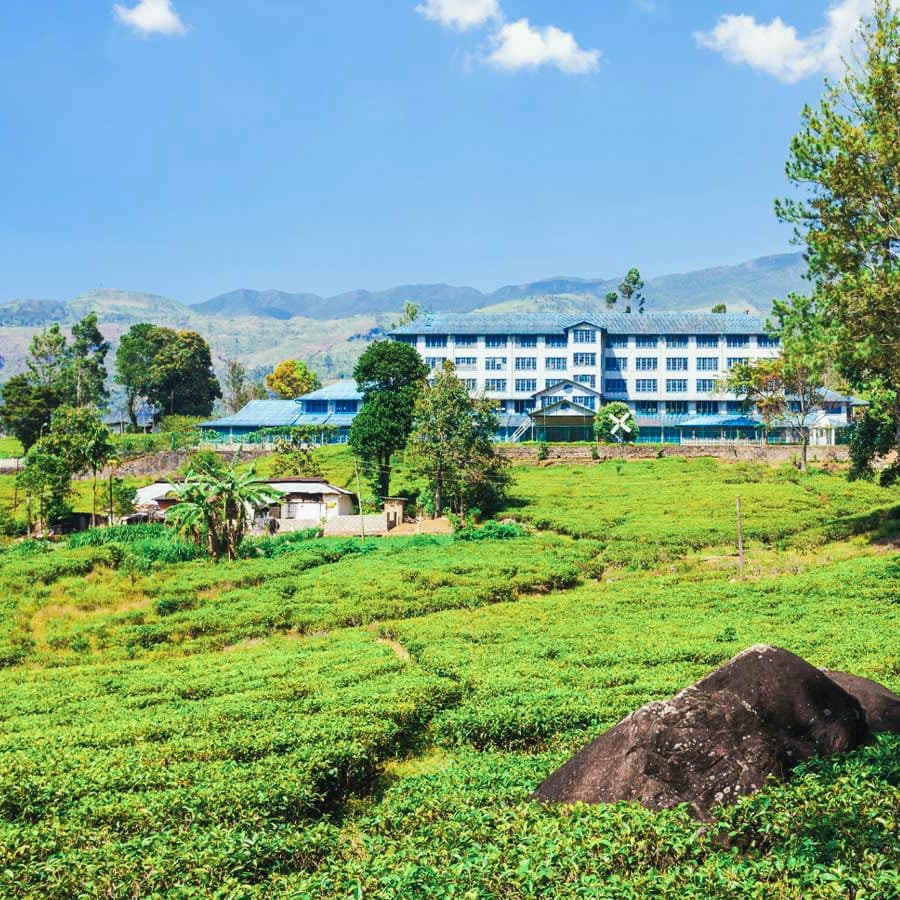 Scenic view of the Handunugoda Tea Plantation in Ahangama, Sri Lanka, with lush green tea fields and rolling hills.