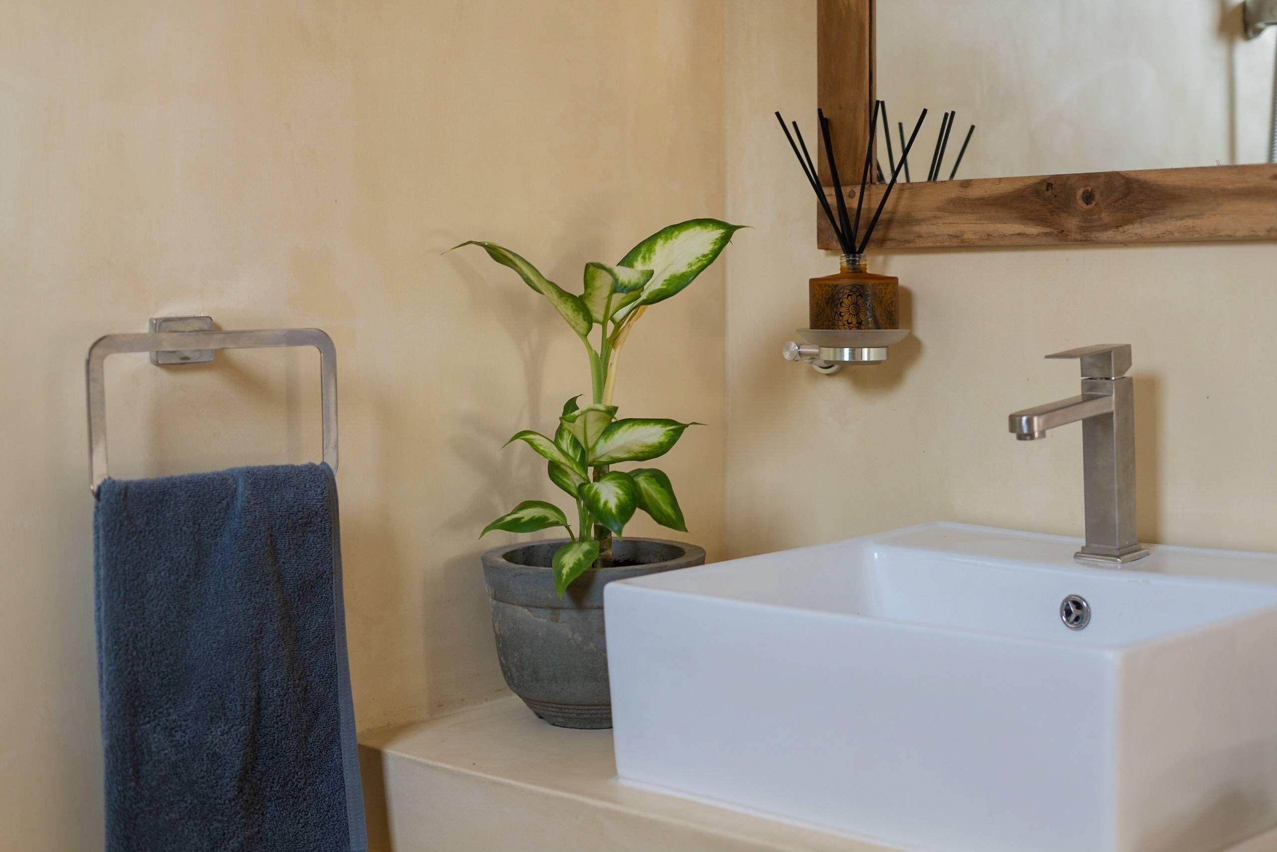 Interior of the Jungle Suite at NETS Cowork and Colive.