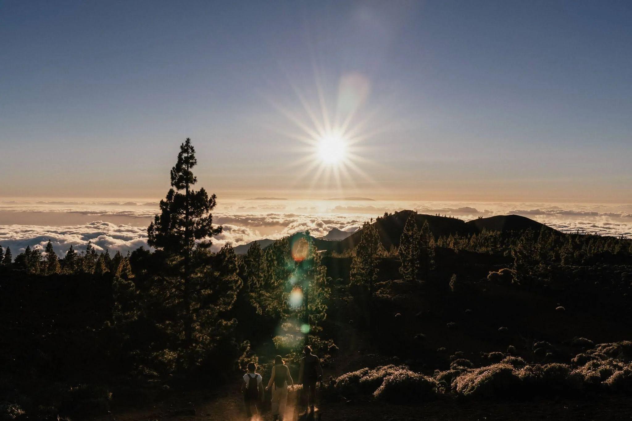 Scenic landscape of Tenerife, showing the island's natural beauty.