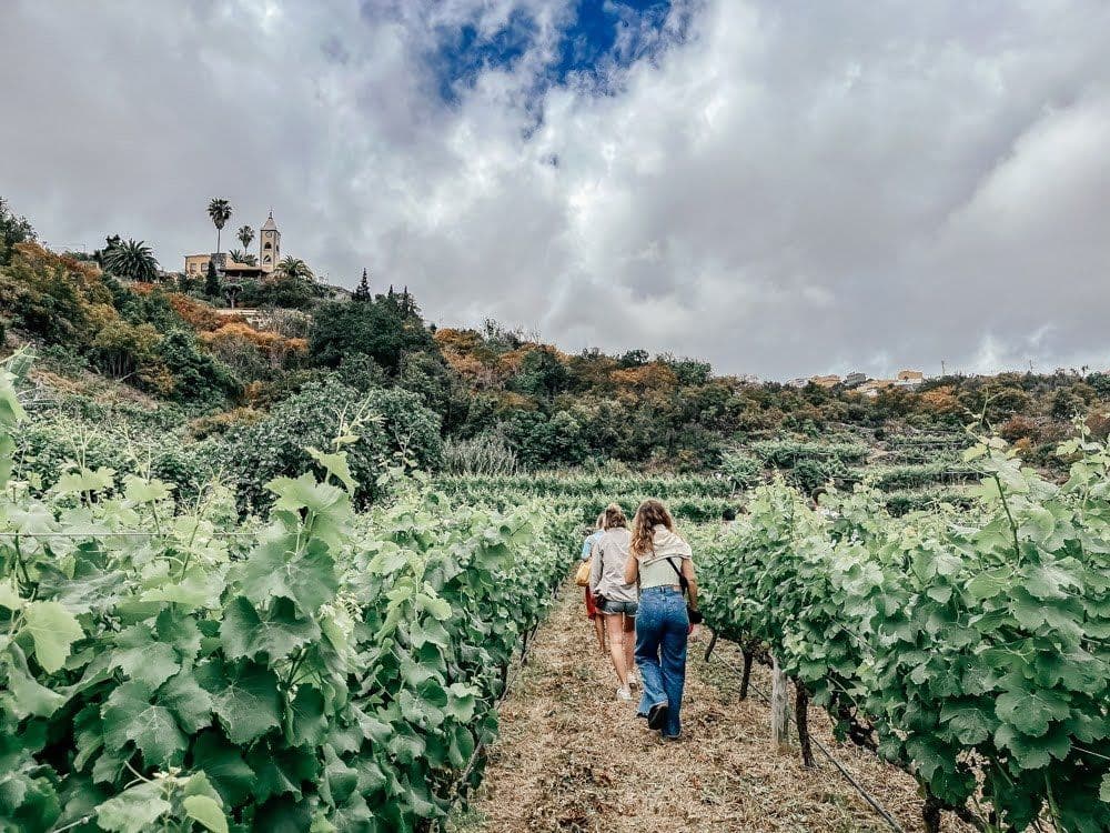 Scenic landscape view of Tenerife.