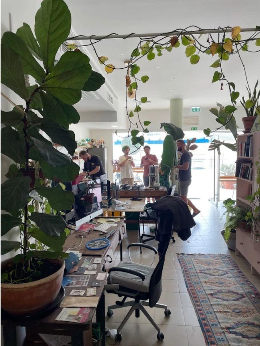 Interior of Kelp Coworking space in Ericeira, a local coworking spot recommended for Nomadico guests
