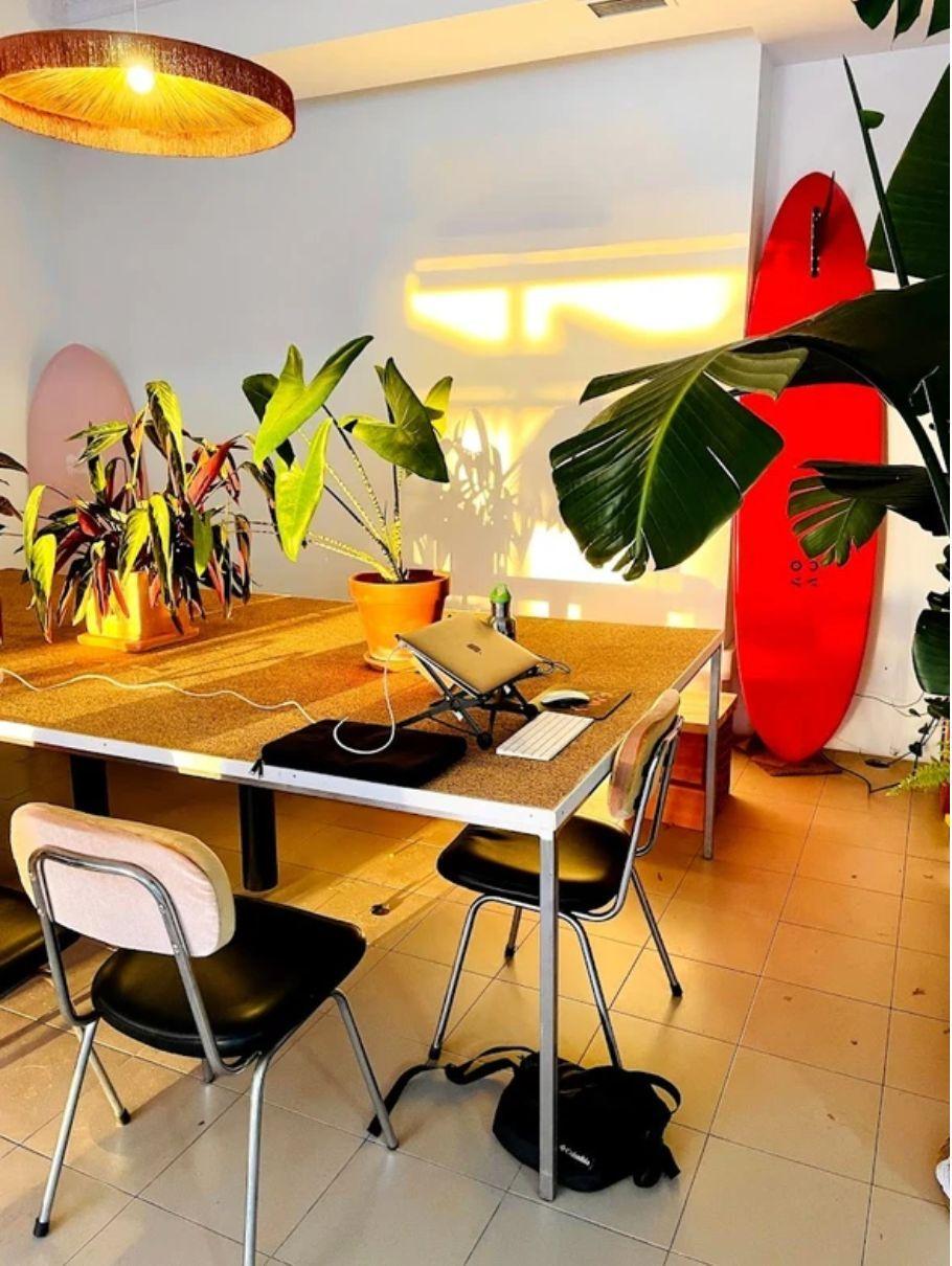 Inside Kelp Coworking space in Ericeira with surfboard decor and tropical plants