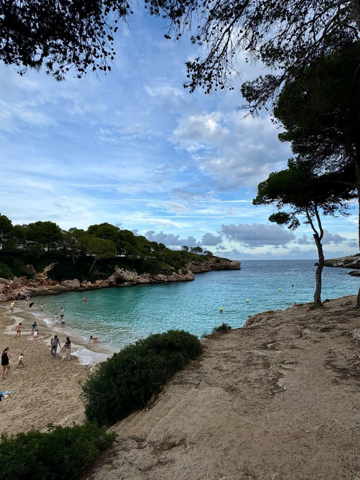 A scenic beach cove in Mallorca with turquoise water and pine trees