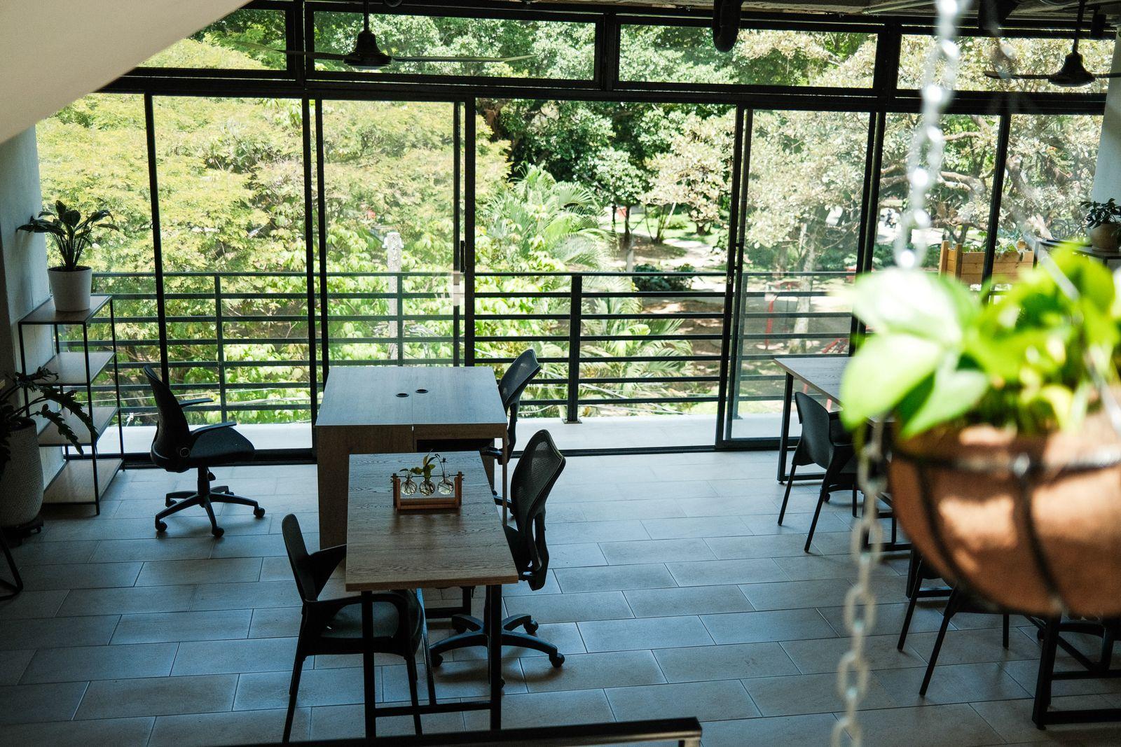 Coworking area with desks, ergonomic chairs, and large windows overlooking lush green park