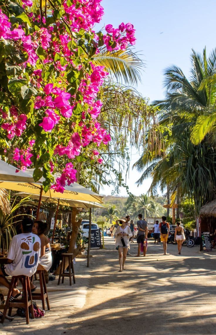 Colorful street scene in La Punta, Puerto Escondido with bougainvillea, cafés and palm trees