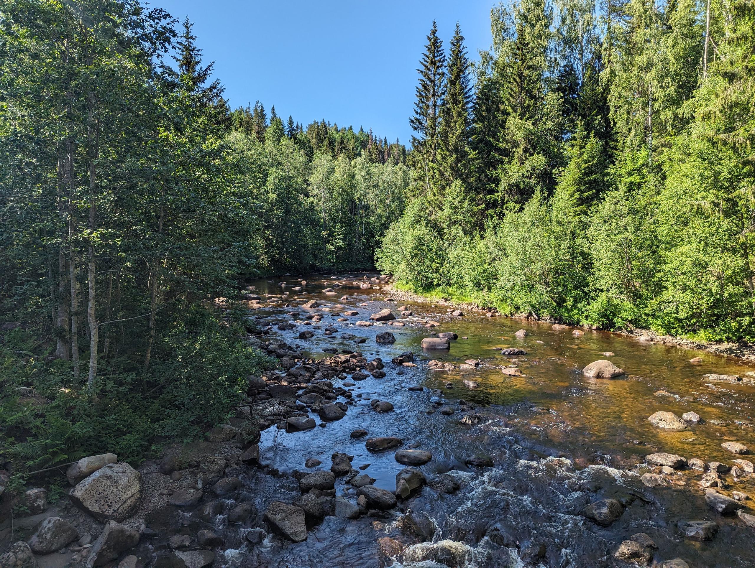 Mjälladalens naturreservat nature reserve in the Höga Kusten area