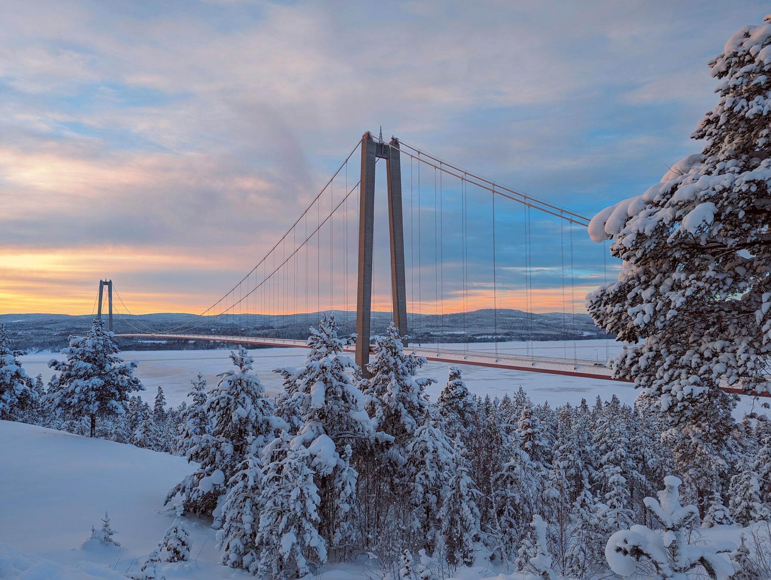 Höga Kusten suspension bridge in winter with snow-covered trees