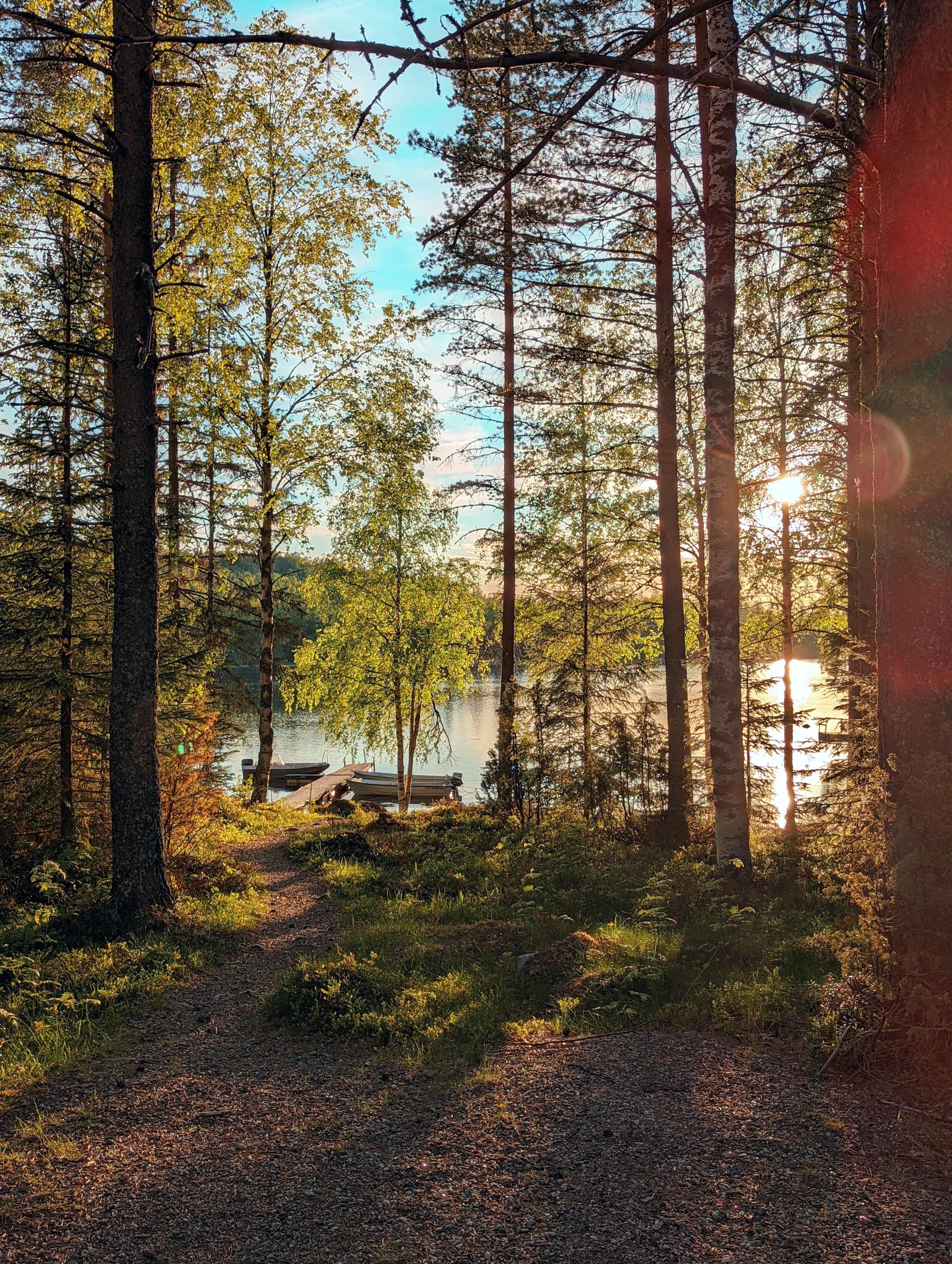 Scenic lake view in Sweden