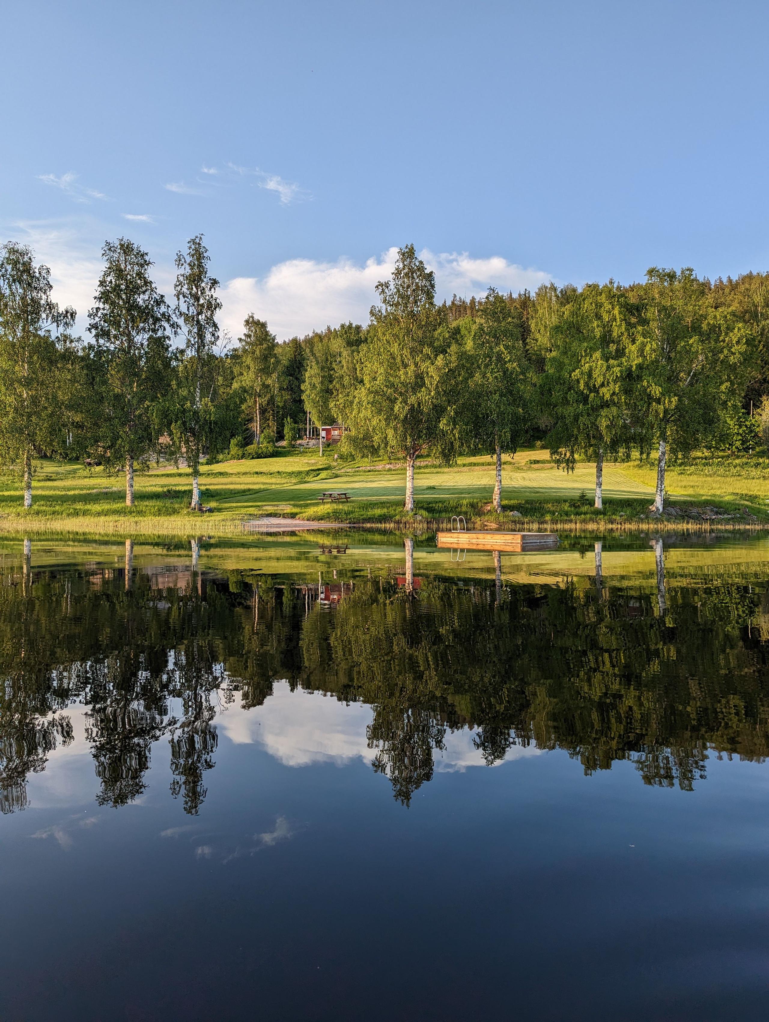 Scenic lake view in Sweden surrounded by forest
