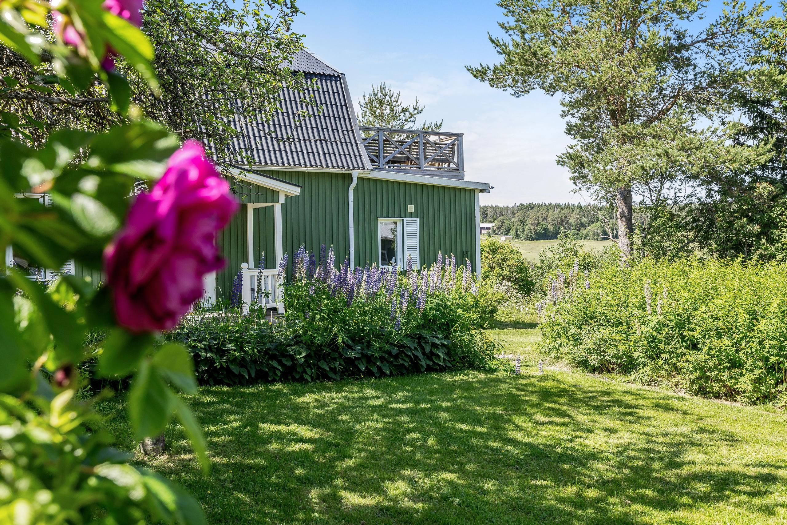 Garden view of the green coliving house with flowers, lawn and terrace visible