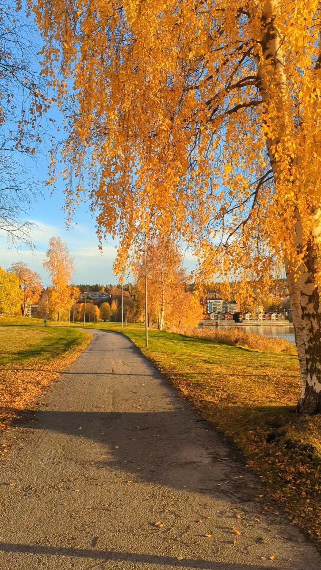 Autumn scene in Härnösand