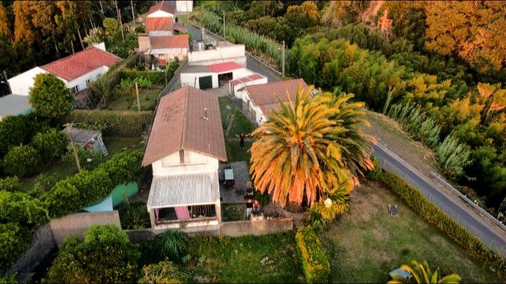 Aerial drone shot of the Novovento property showing the house, garden with palm tree, and surrounding lush green landscape