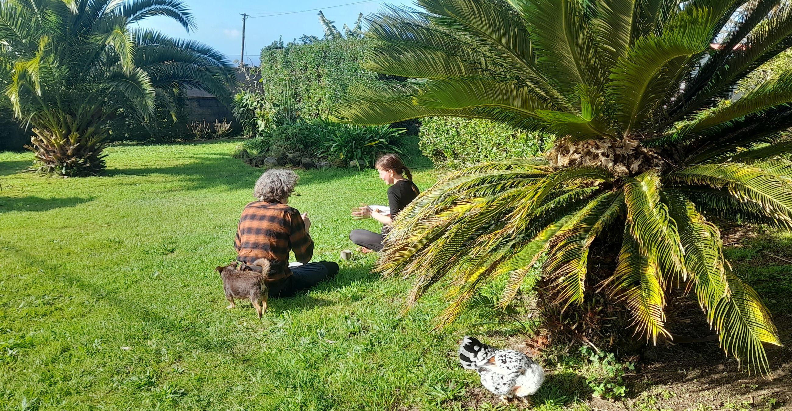 Two guests sitting on the grass in the garden with a dog, surrounded by palm trees and tropical plants