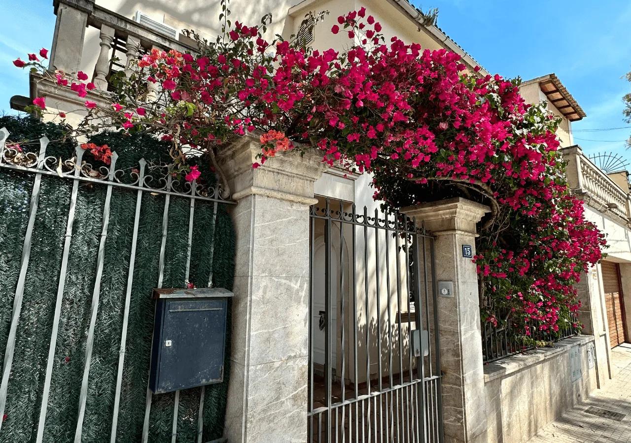 Street-level view of Villa Armadans entrance gate adorned with vibrant pink bougainvillea flowers, iron gate, and stone pillars