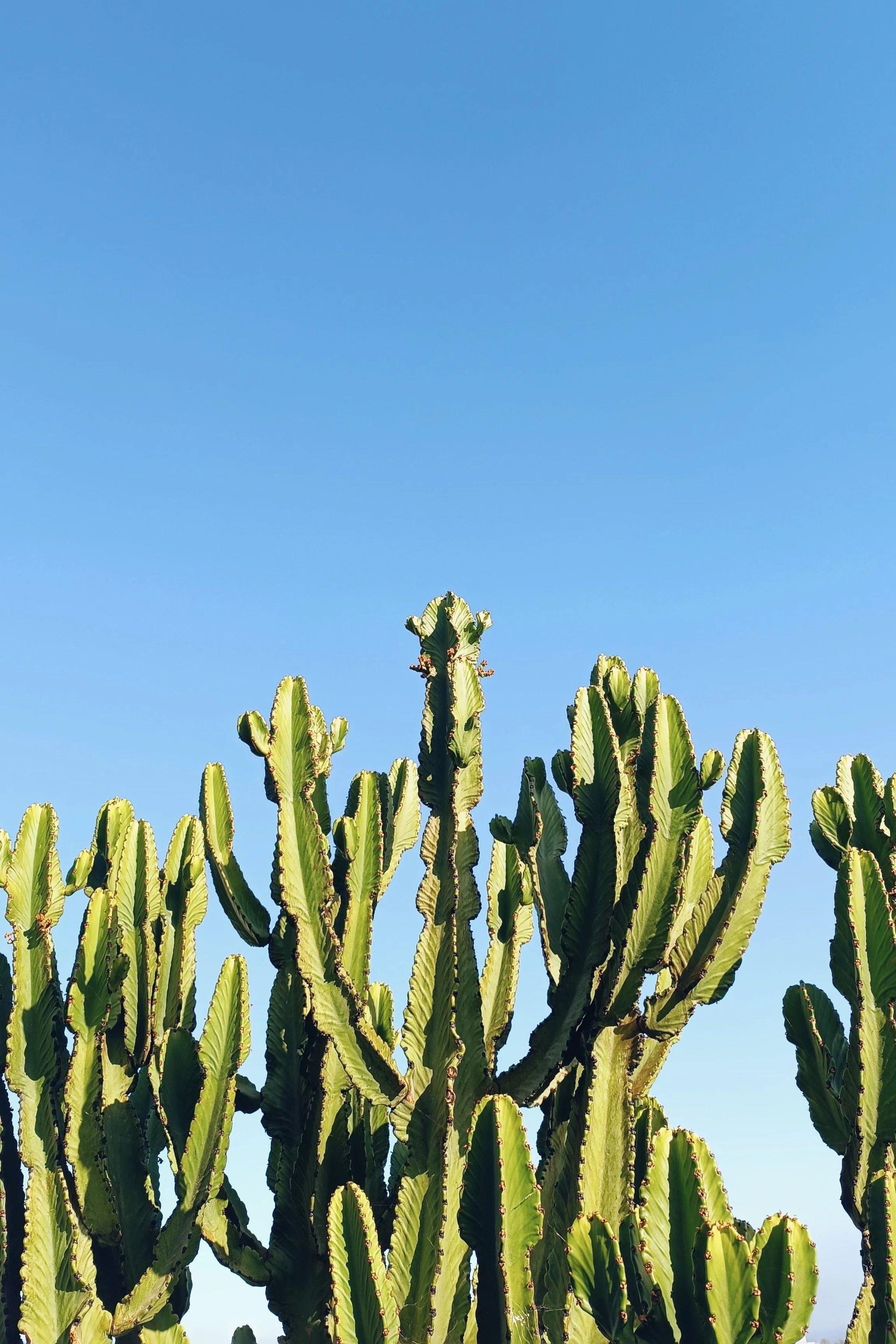 Scenic view of Lanzarote island