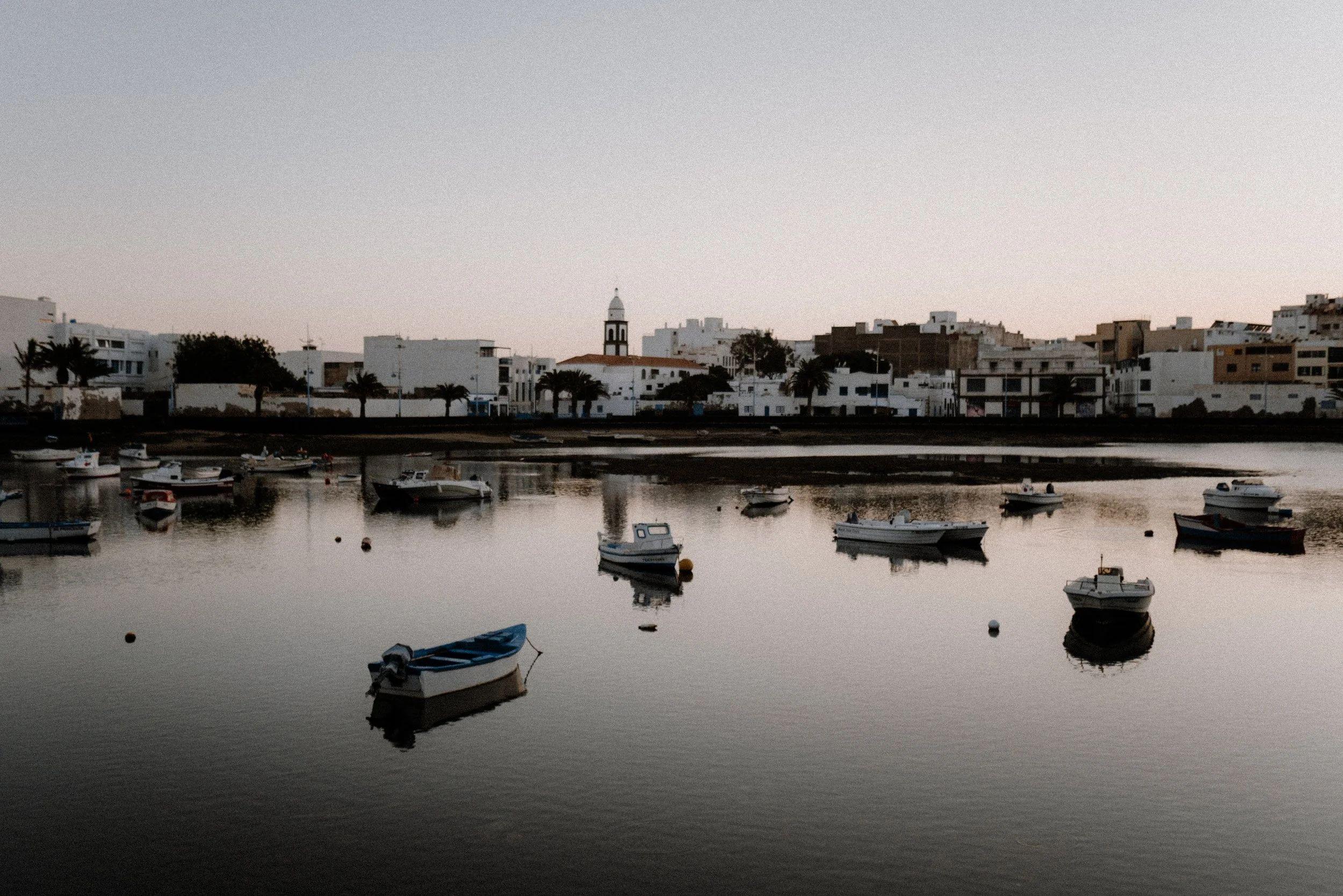 Pitaya community experience on Lanzarote island