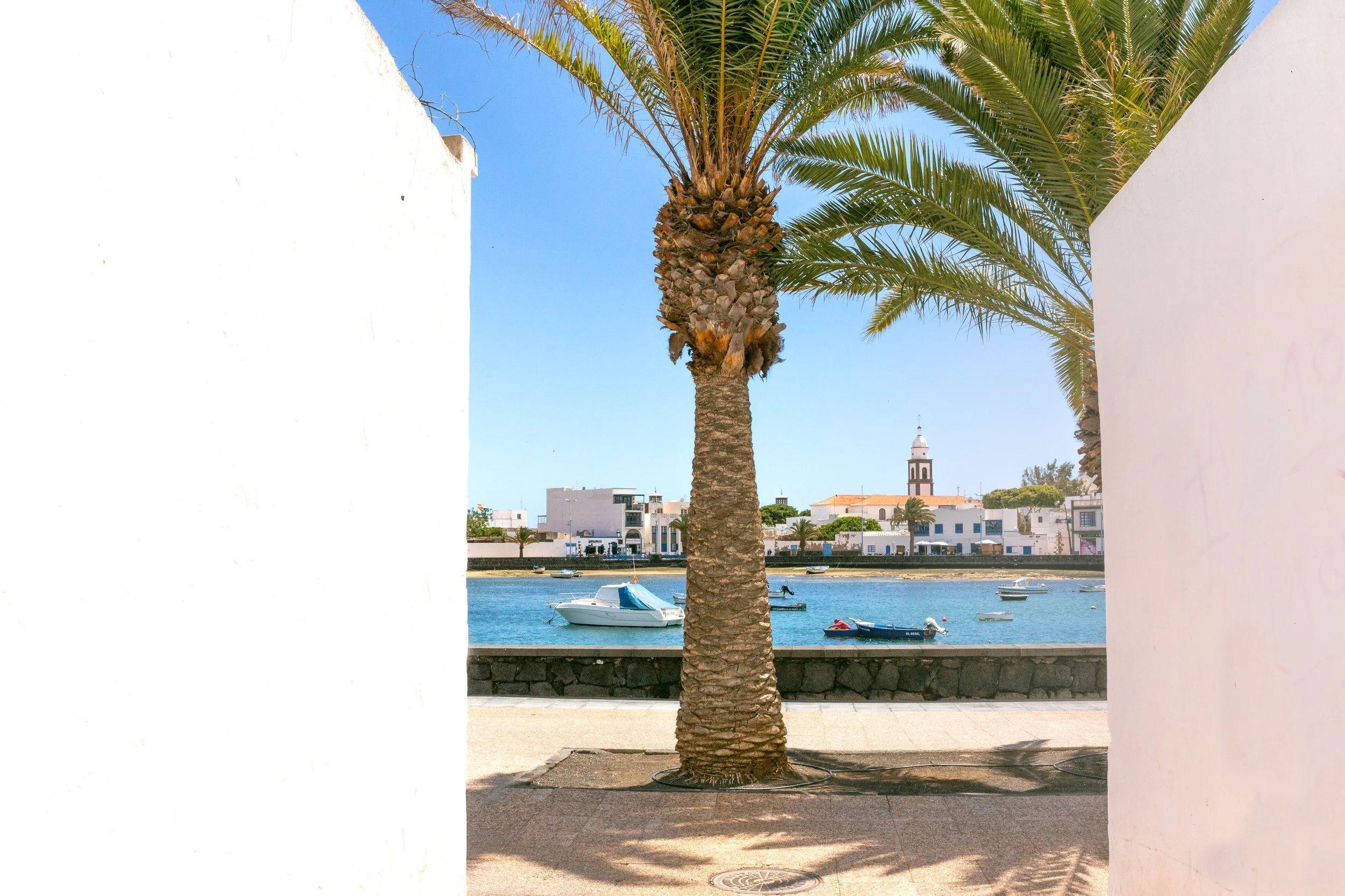 View of the house or surroundings at Pitaya Coliving