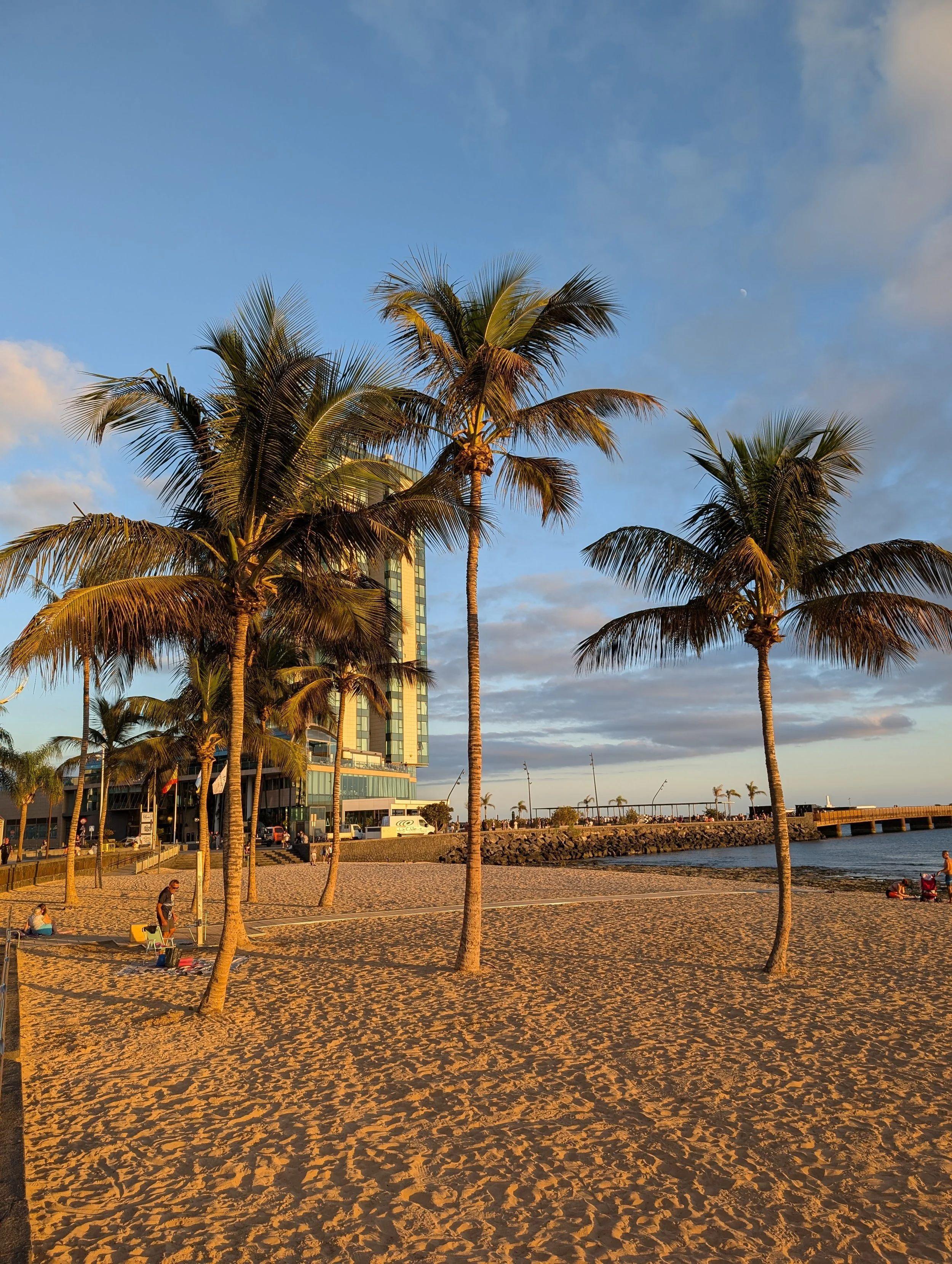 Pitaya community activity or event