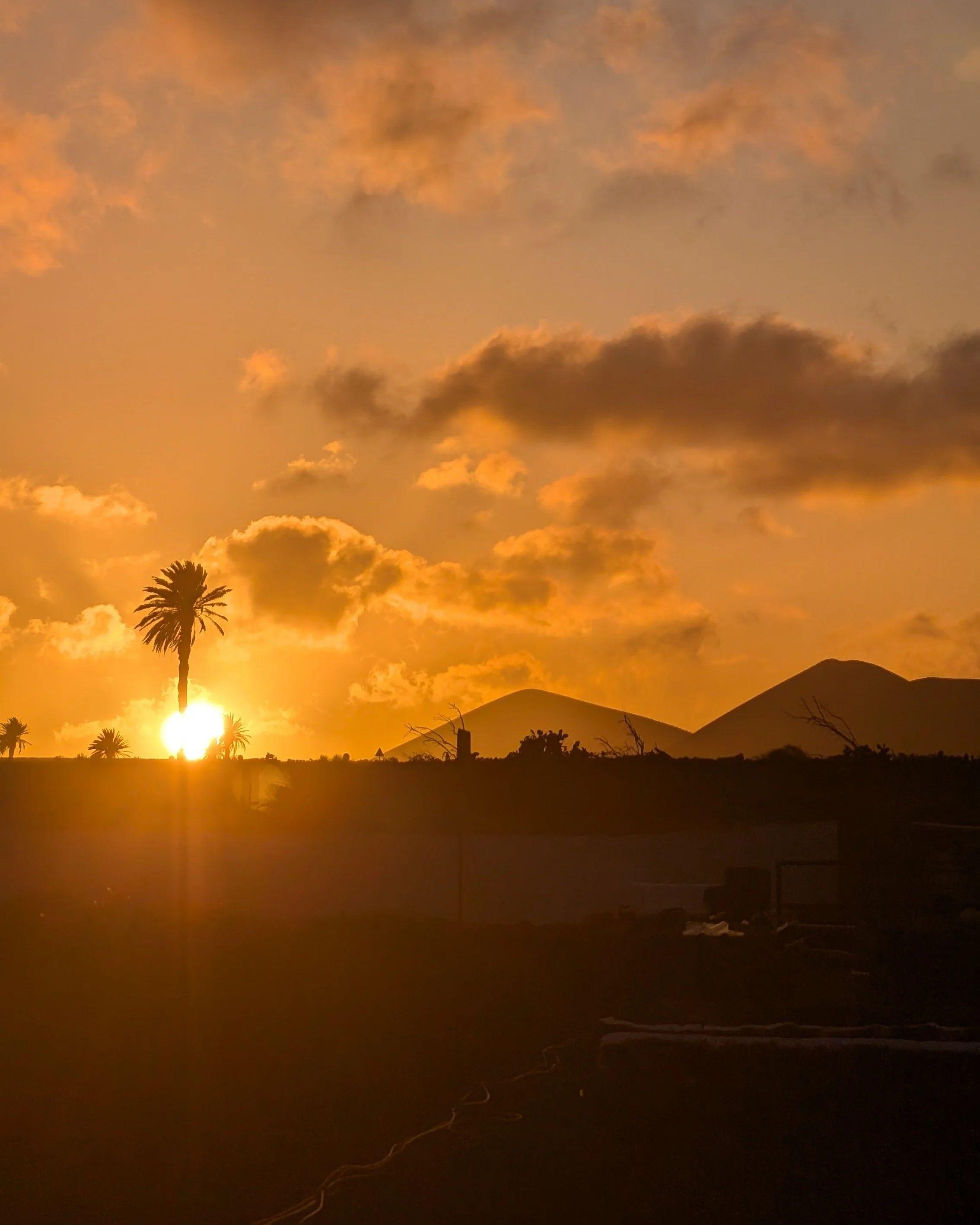 Pitaya community activity or event