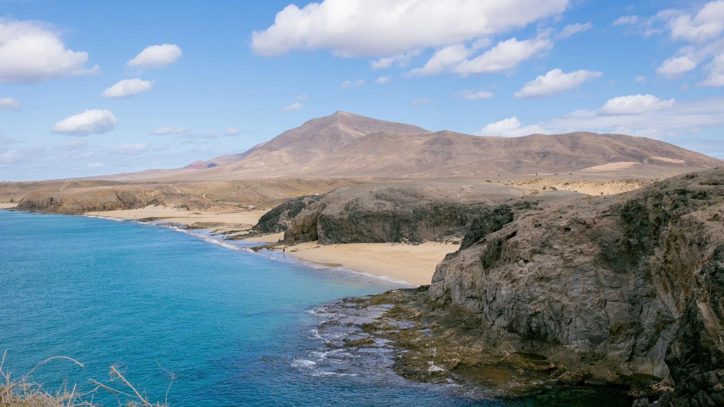 Pitaya community experience on Lanzarote island