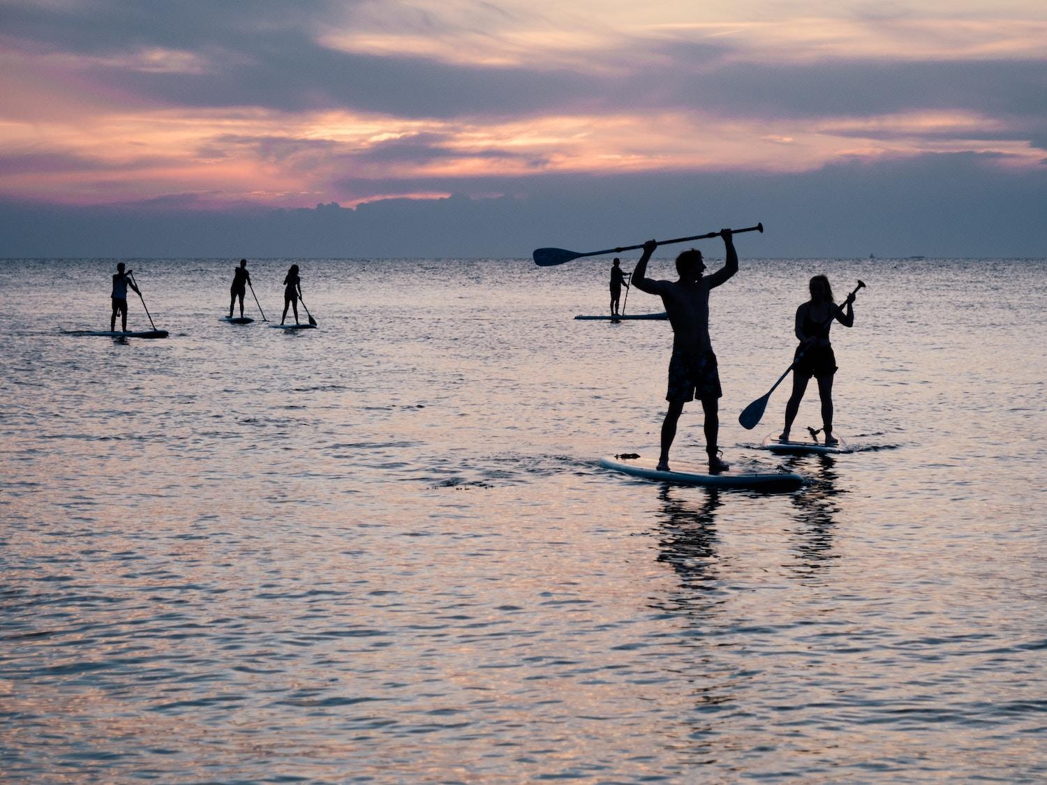Group of people stand-up paddleboarding at sunset on calm water
