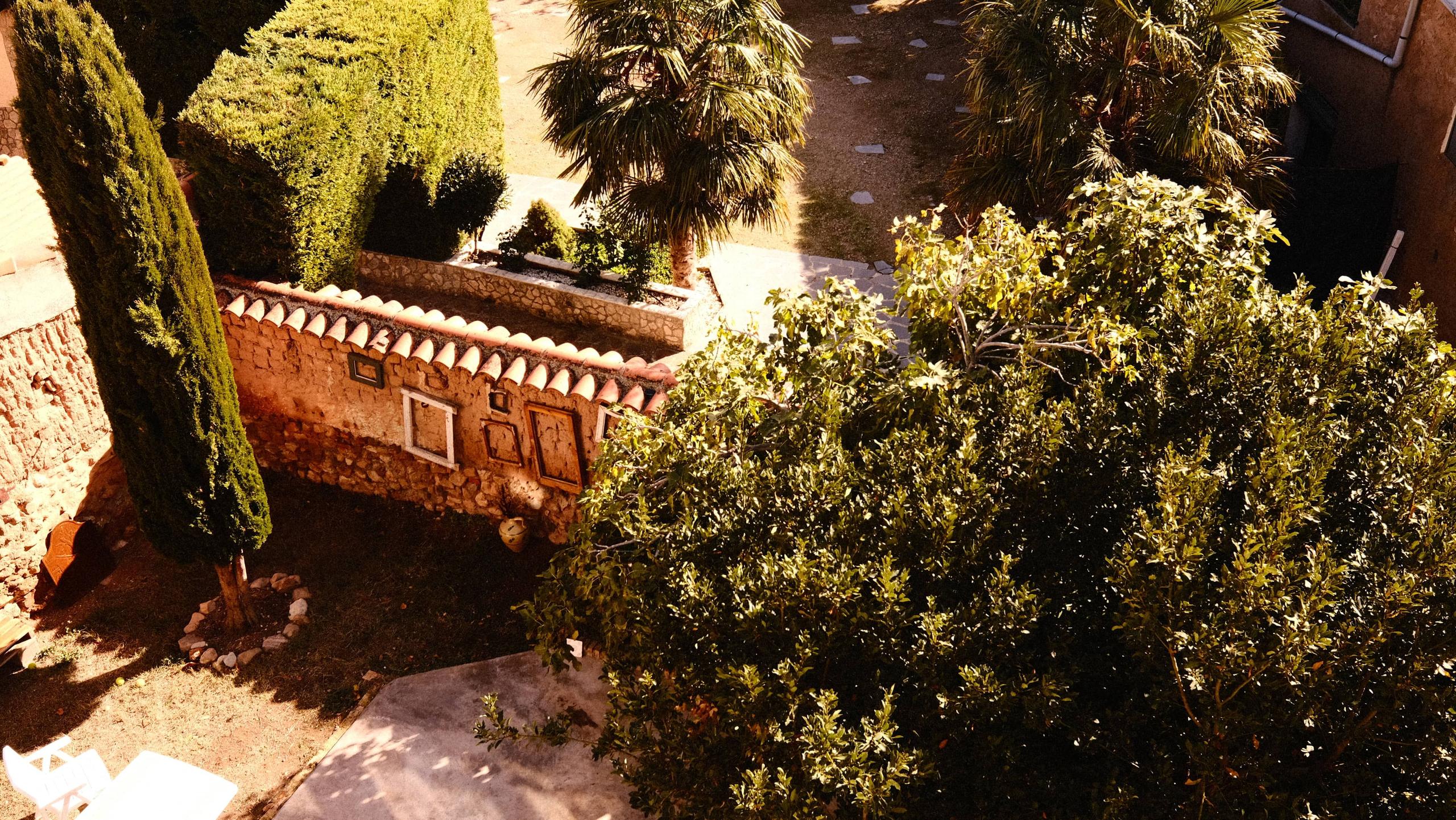 360° rooftop terrace at Posada de la Luz showing the garden below
