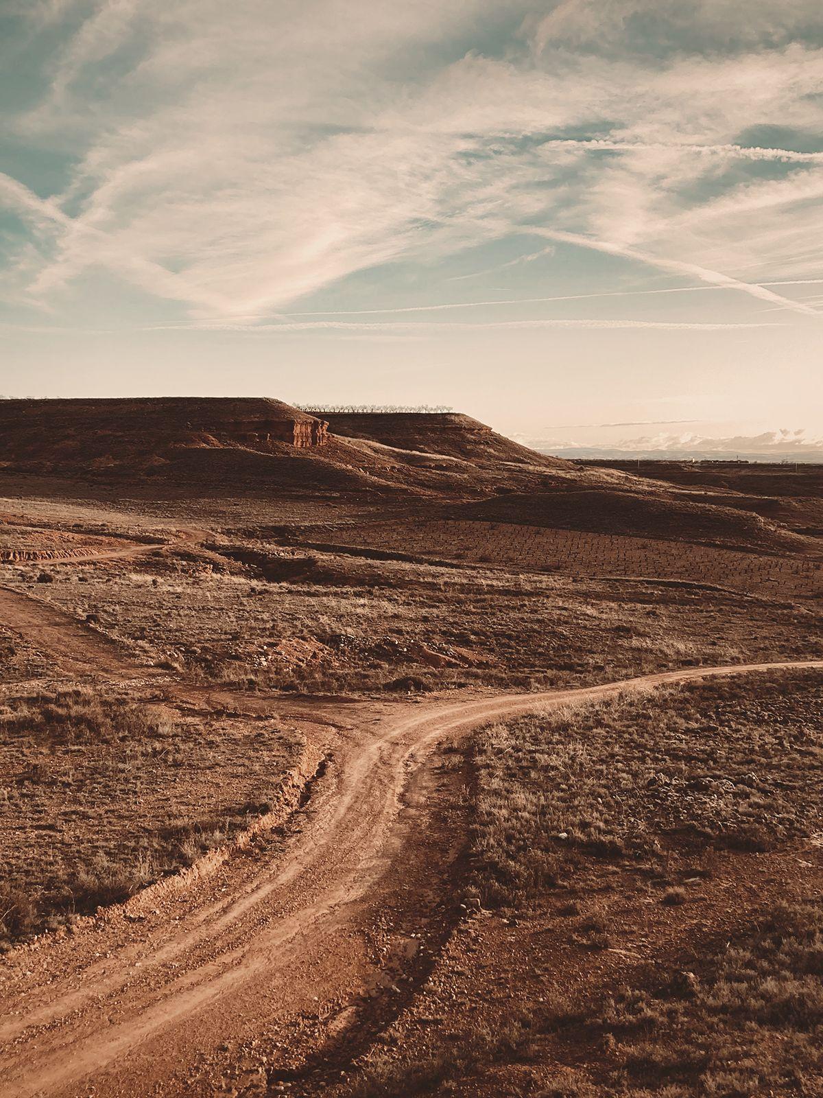 Dirt road through the fields surrounding Posada de la Luz in Torralba de Ribota