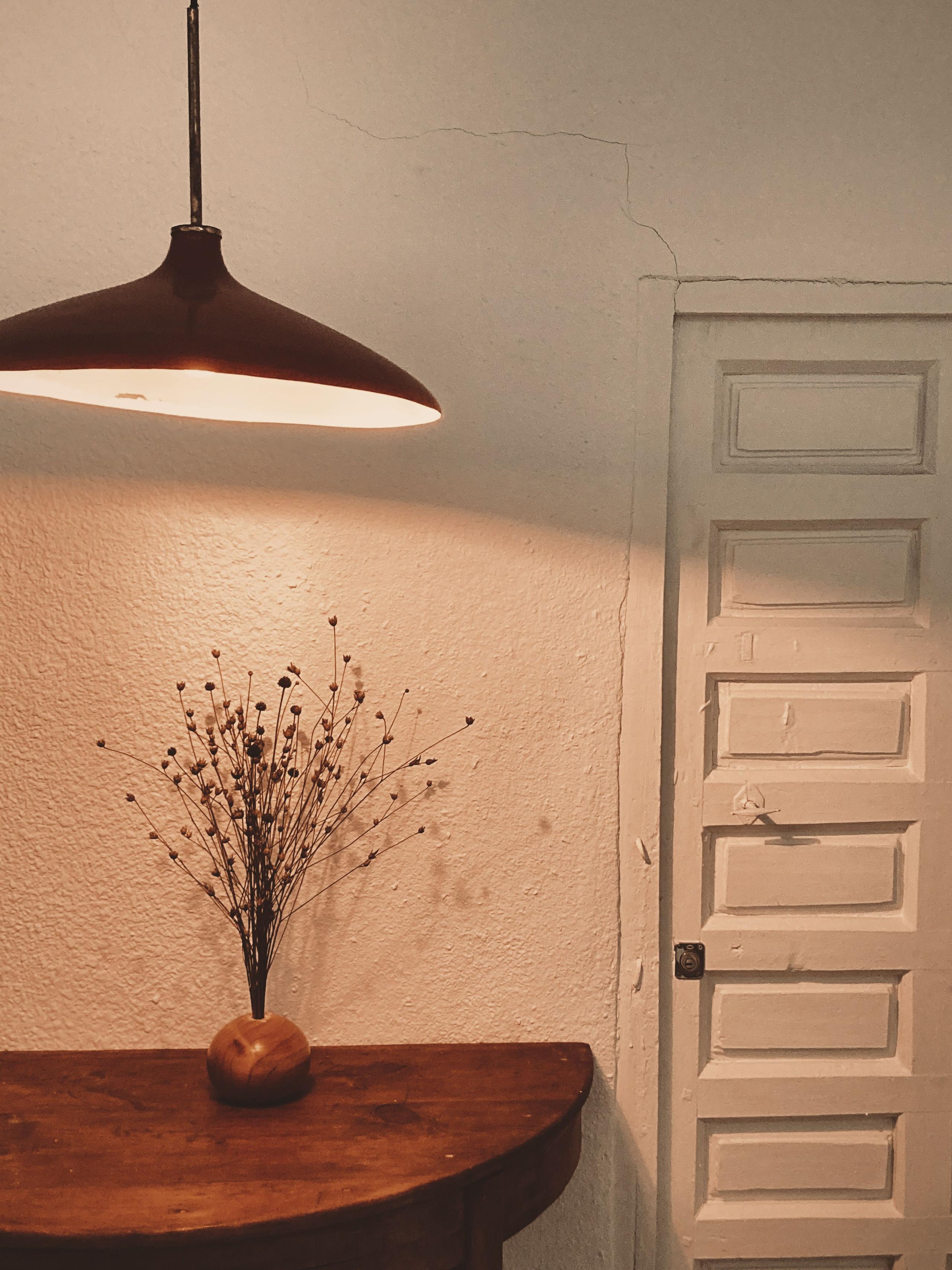 Passage area to upper floor rooms with ceiling lamp and decorative plants on the second floor of Posada de la Luz