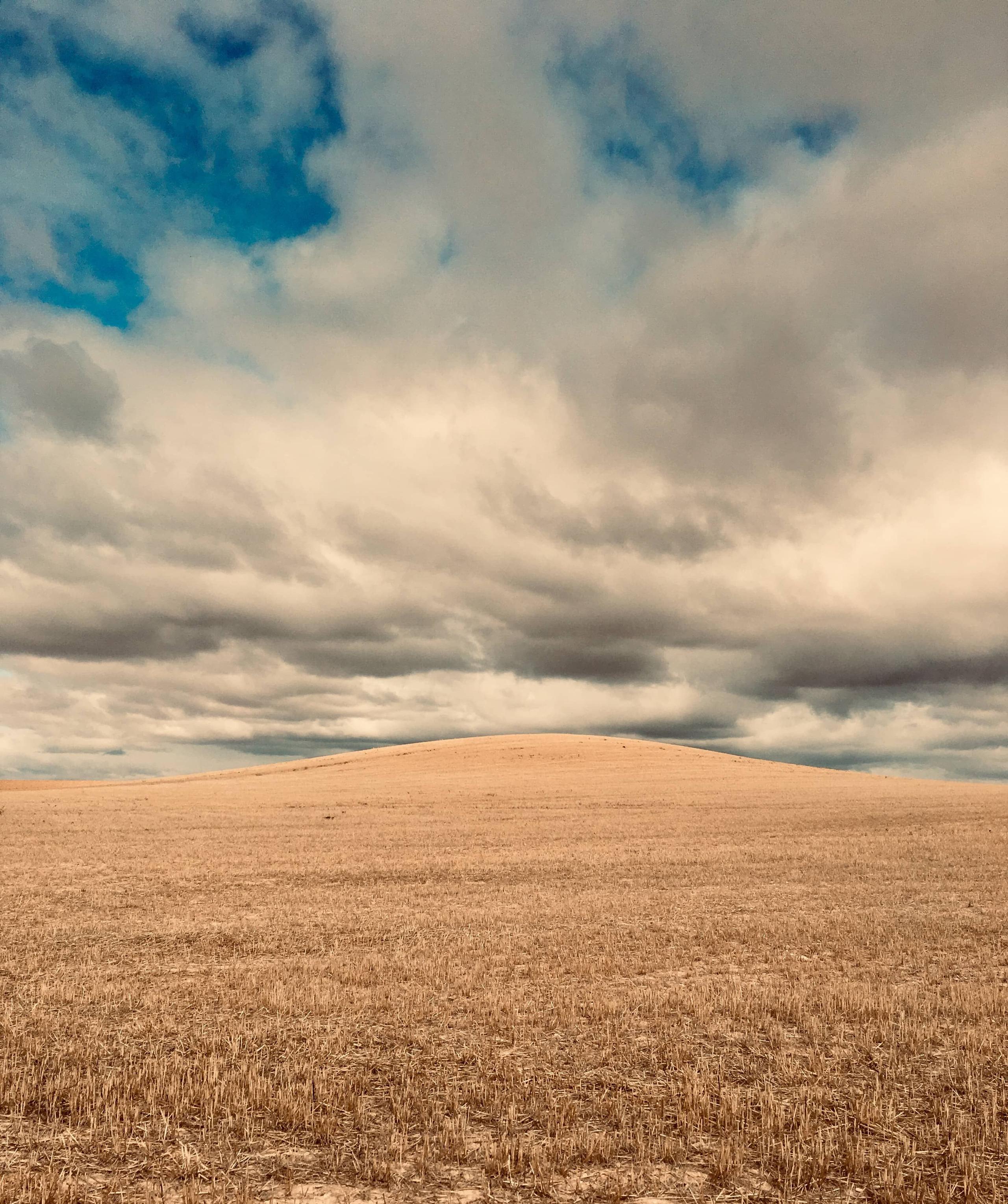 Golden wheat field with cloudy sky; natural and serene landscape in the surroundings of Posada de la Luz in Torralba de Ribota