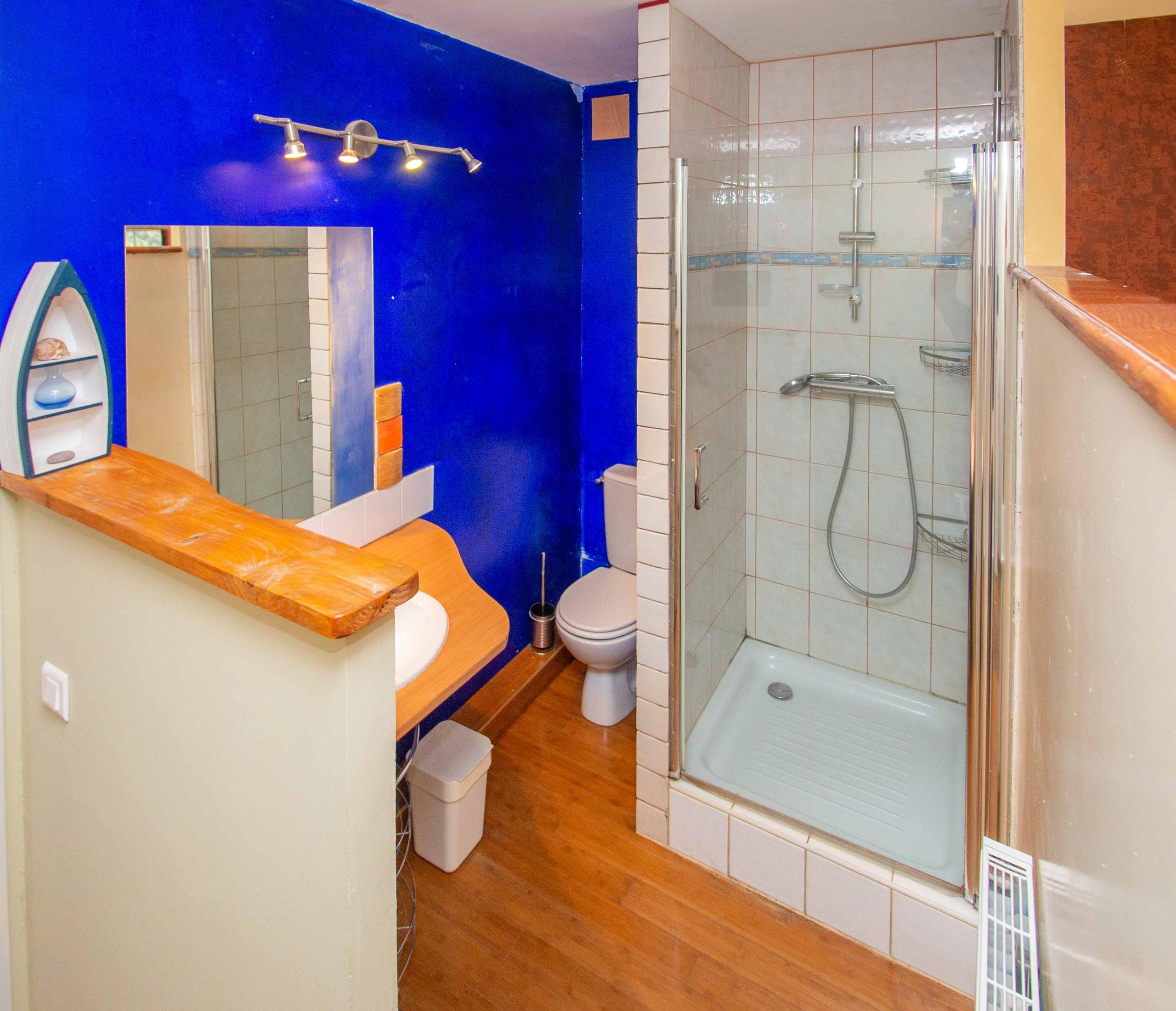 Shower room and WC in the Comfort Room