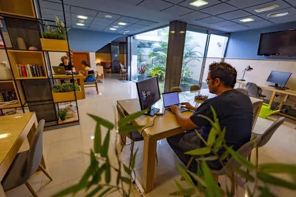 In-house coworking area with desks, plants, and large windows