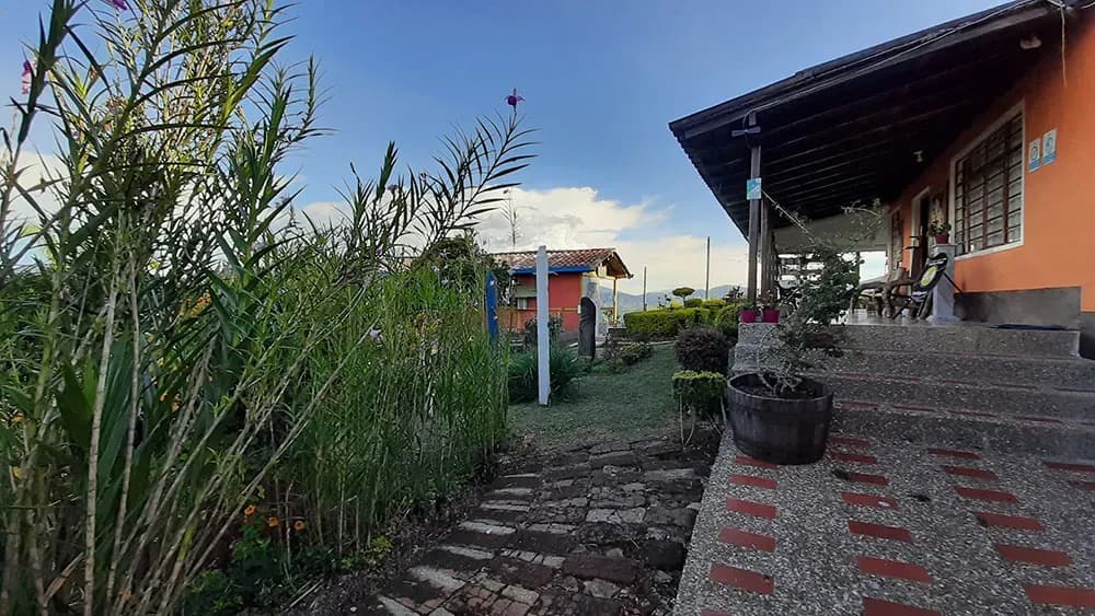 Garden area at the Jericó coliving location