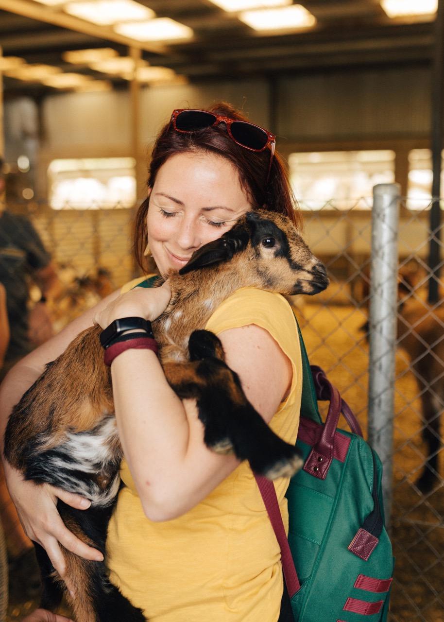 Remote worker hugs a baby goat during cheese making session in Casares, Malaga, part of her Rooral stay.