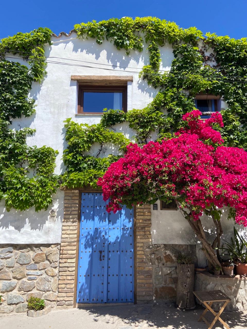 Charming rustic white home at Rooral coliving space in Benarraba, Malaga, featuring a blue door and lush greenery