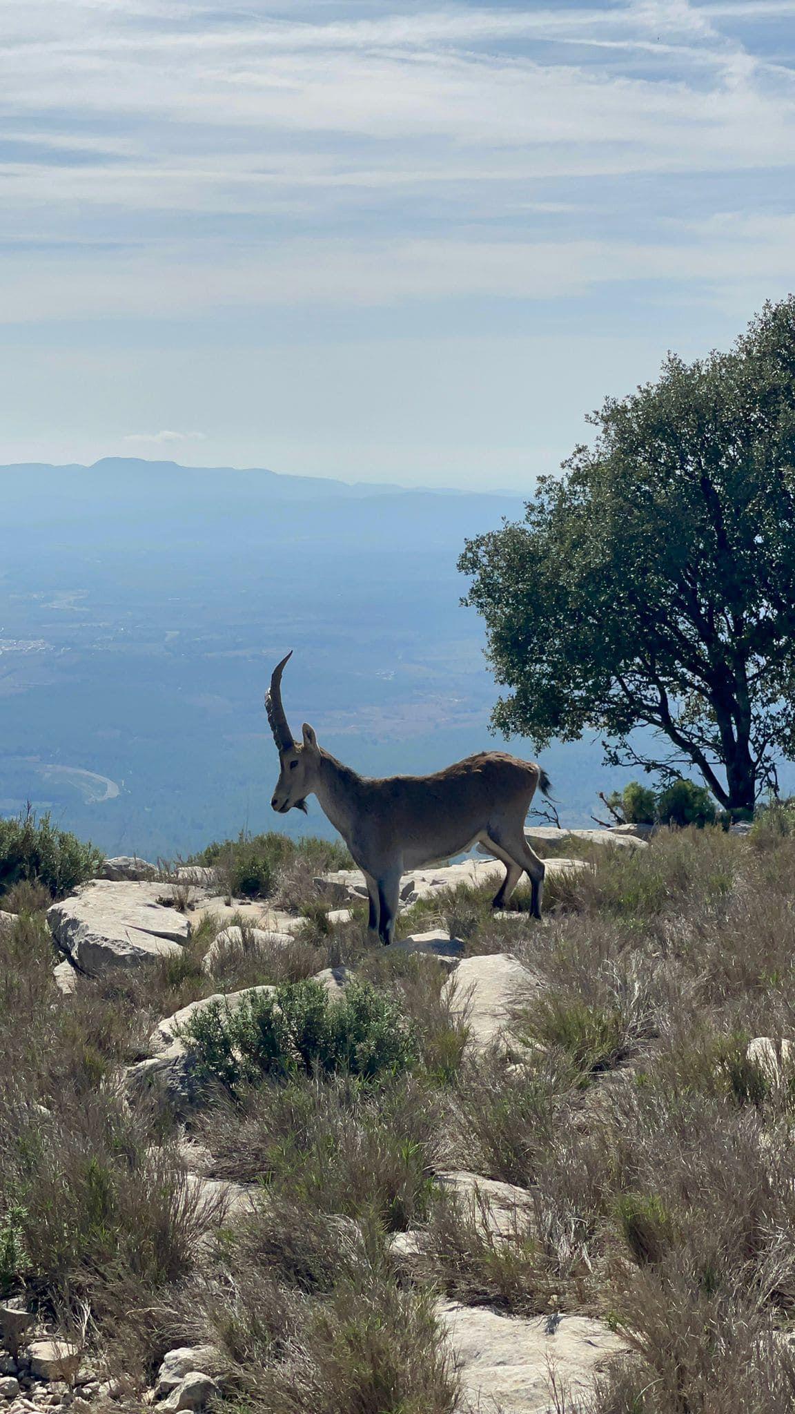 Outdoor Activity Area