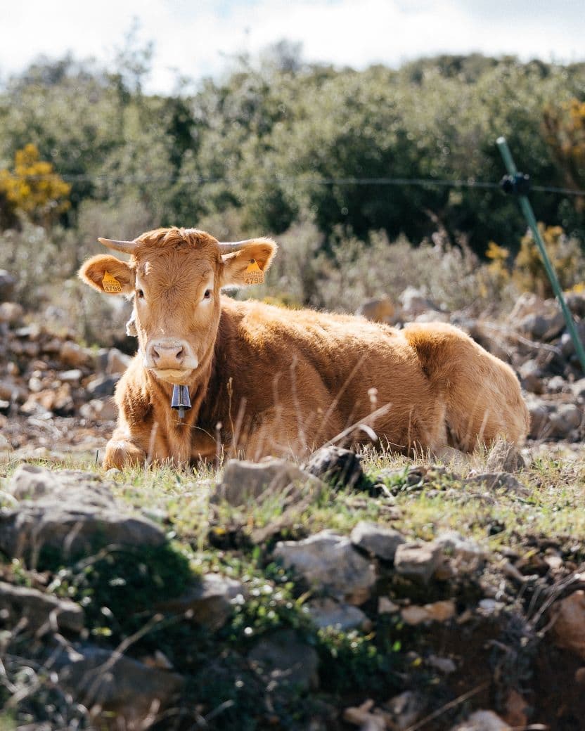 Ruralco Property Exterior