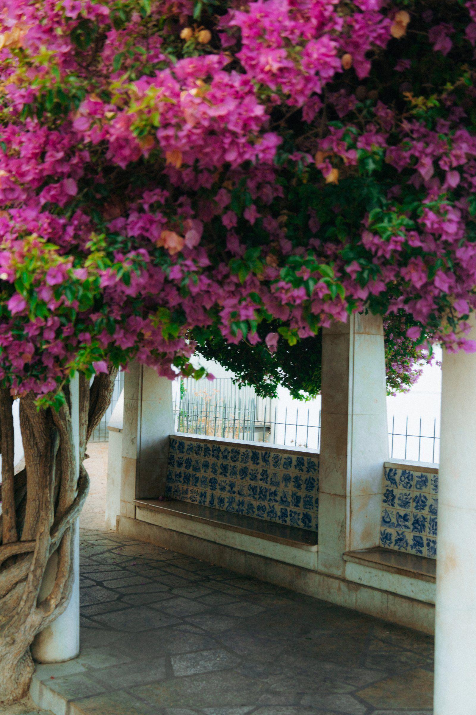 Street scene in the Baixa neighbourhood of Lisbon