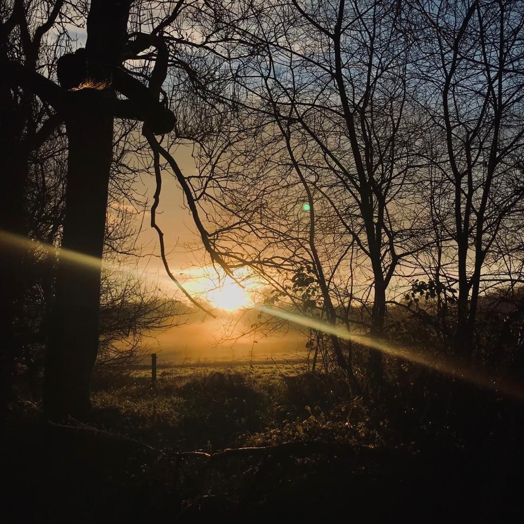 Sunrise through bare winter trees over the Devon countryside surrounding Selgars