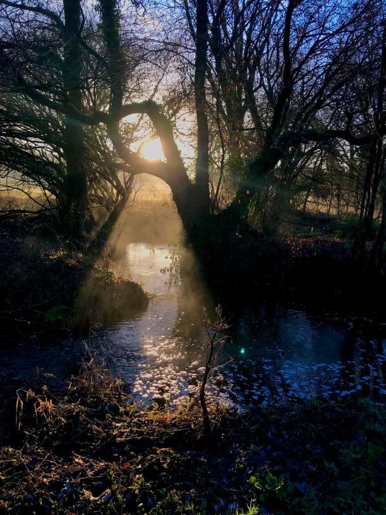 Misty sunrise over the stream flowing through the Selgars Mill Estate grounds