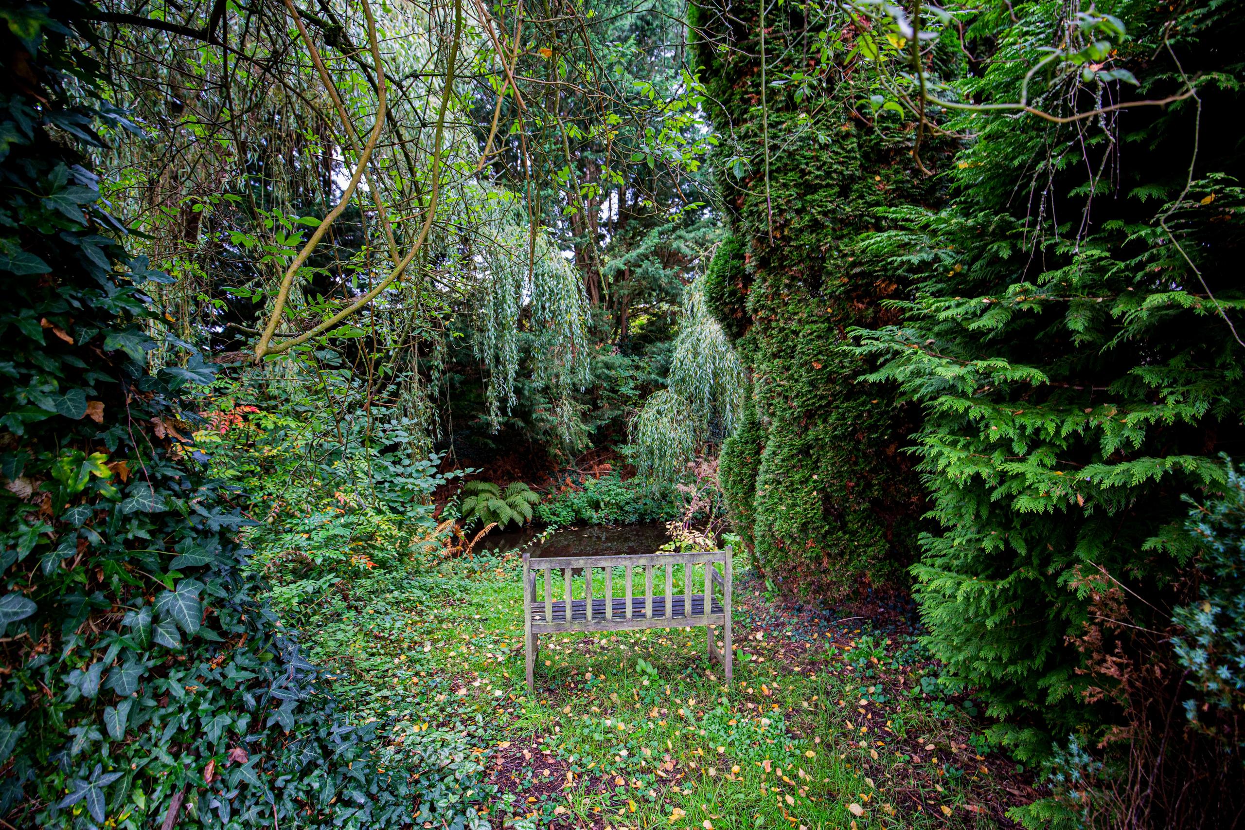 A wooden bench nestled among lush trees and greenery in the garden