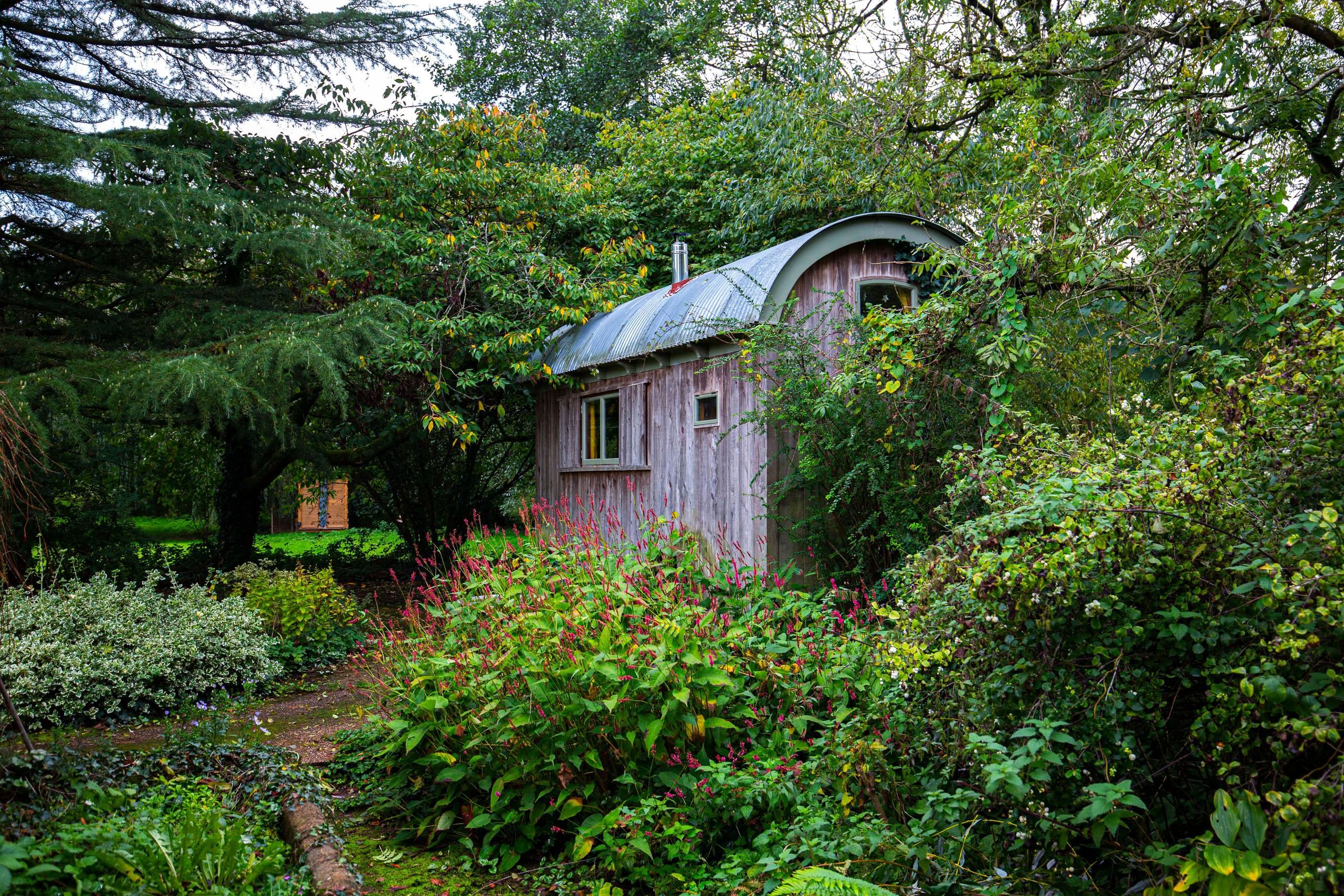 The Waggon cabin nestled in the lush garden surrounded by trees and plants