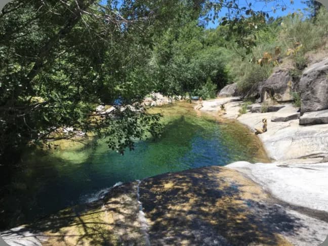 A forest pool where Sende's guest are swimming during their free time