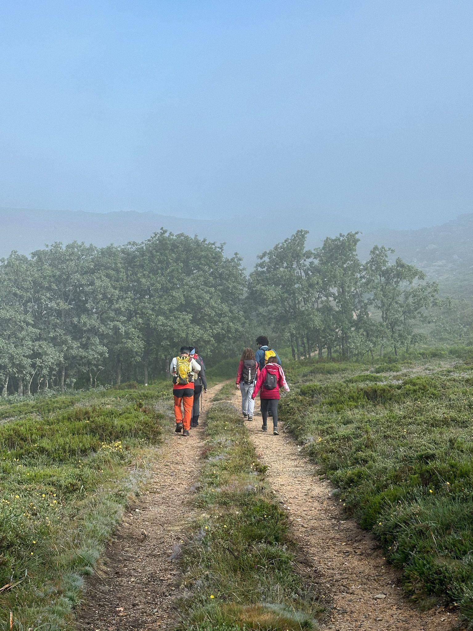 Creatives from Sende going for the hike. Starting a morning hike.