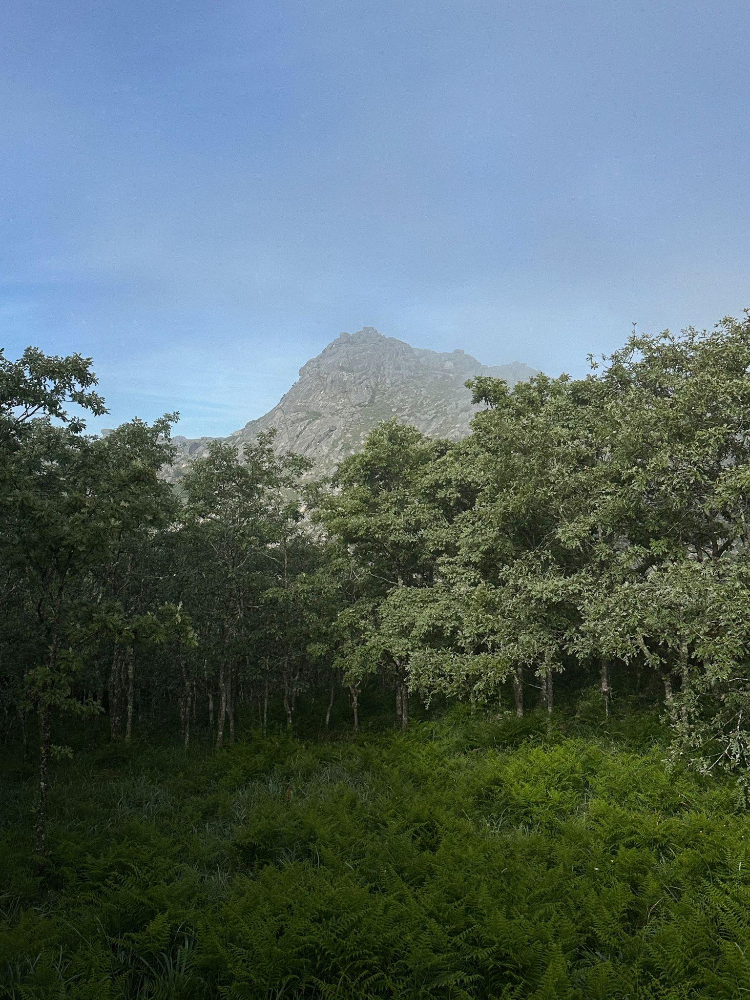 Mountain Trail