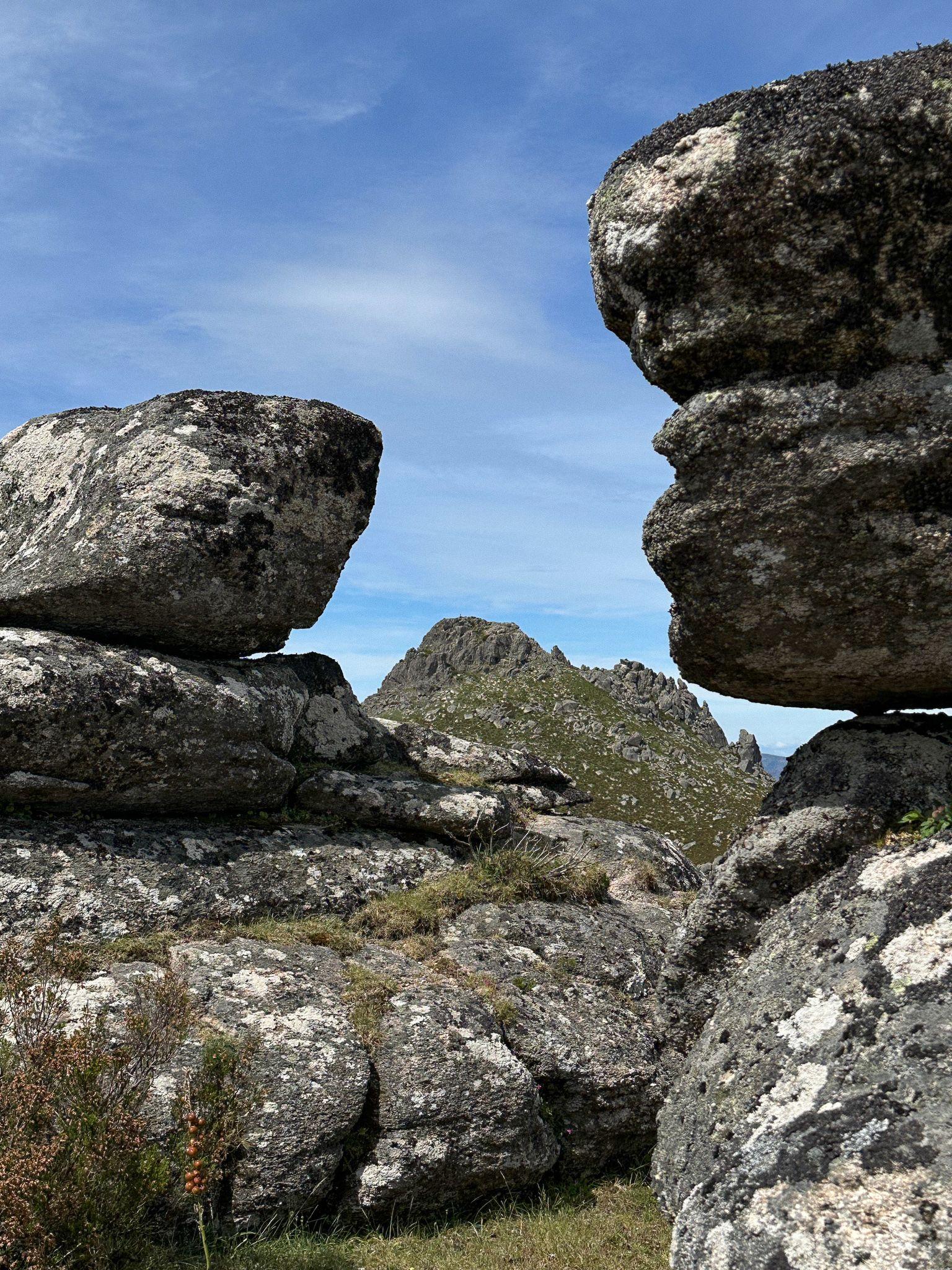 Rocky Mountain Terrain
